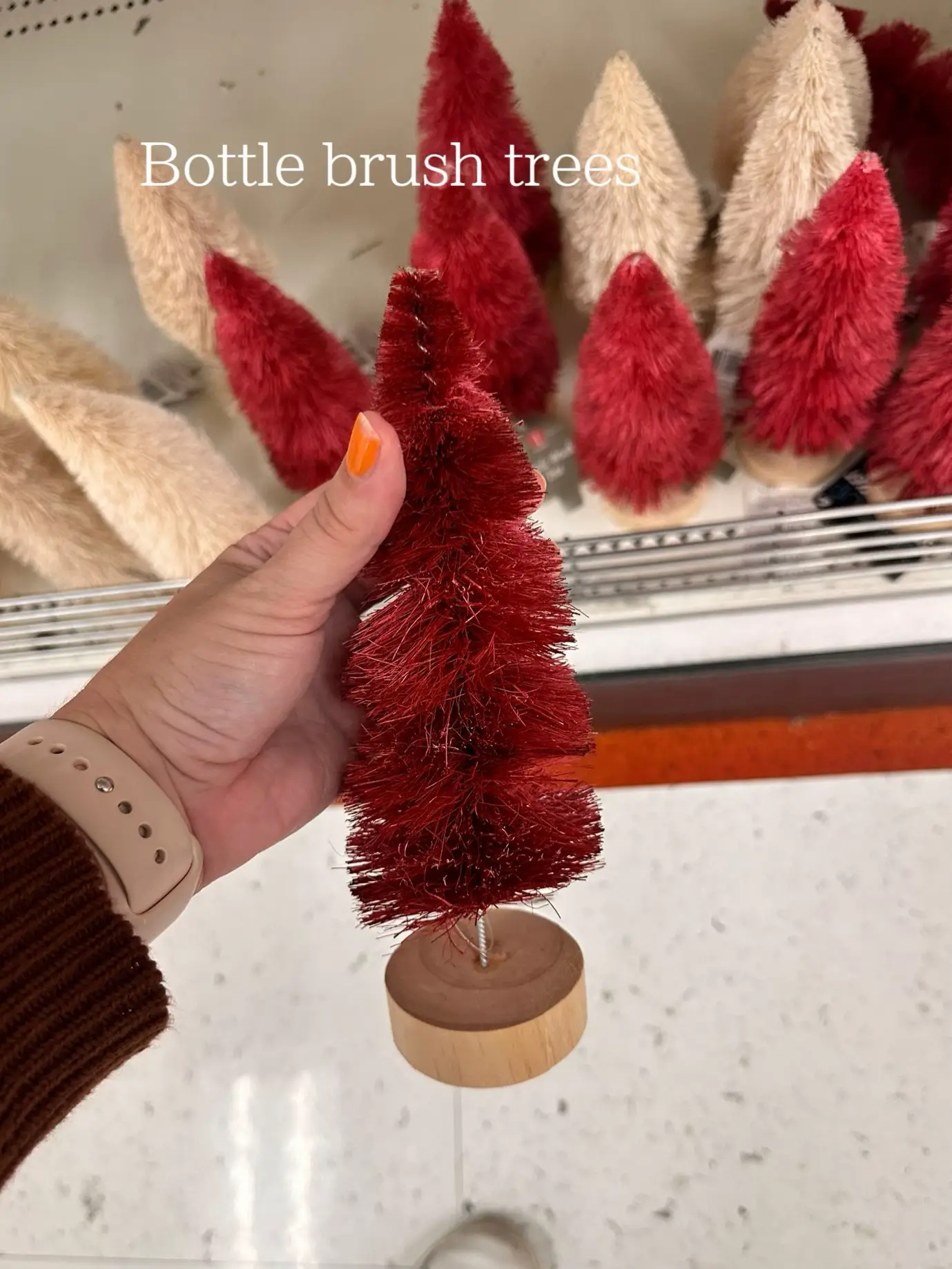  A person is holding a bottle brush tree in their hand.