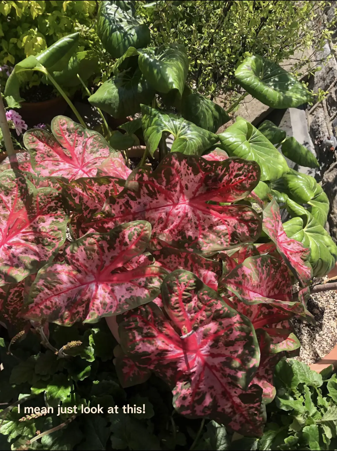 How to escape the city (NYC edition) Gallery posted by Diana B Lemon8