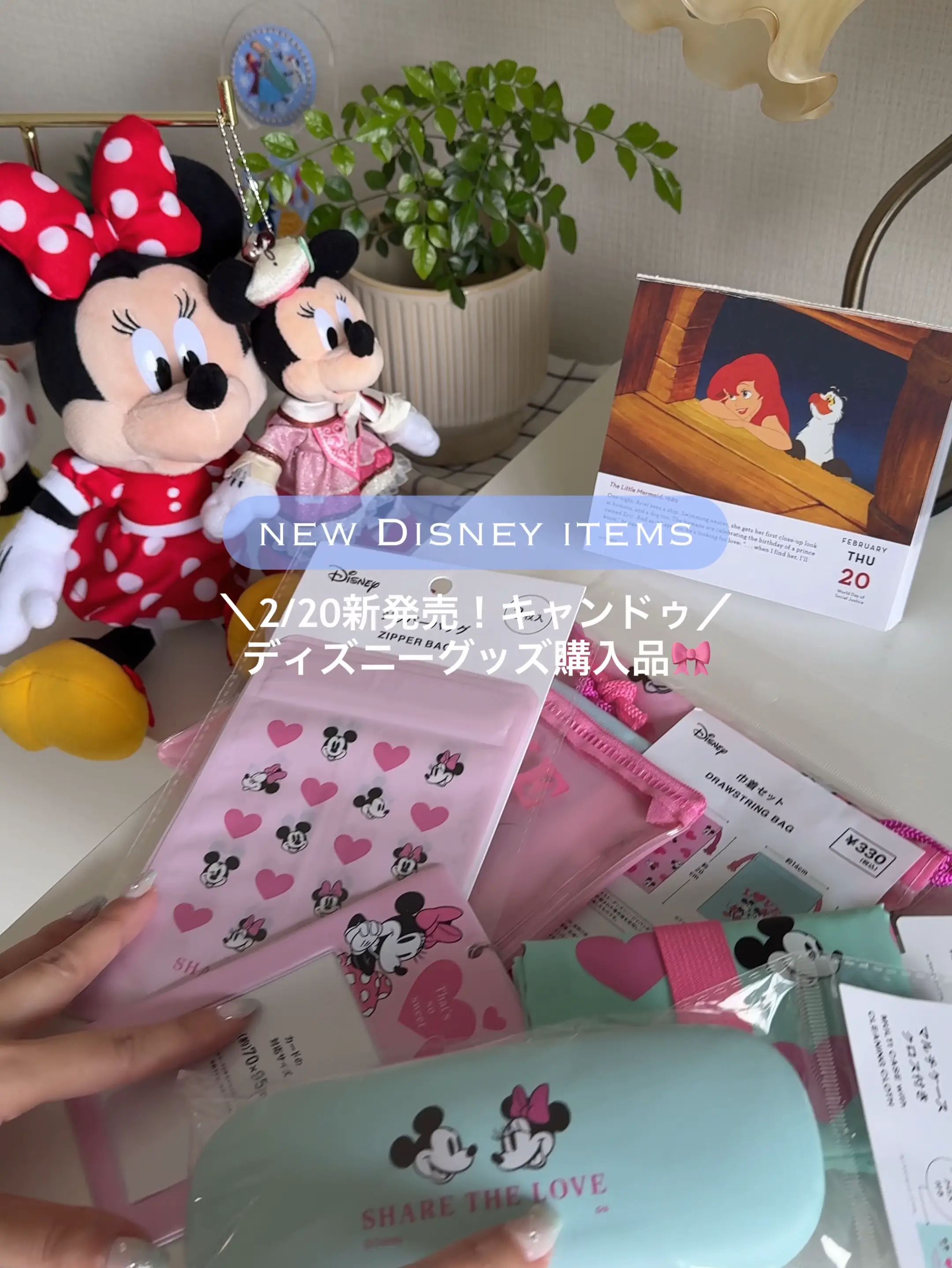 2/20新作】キャンドゥのディズニー（ミッキー&ミニー）購入品｜ポーチ 