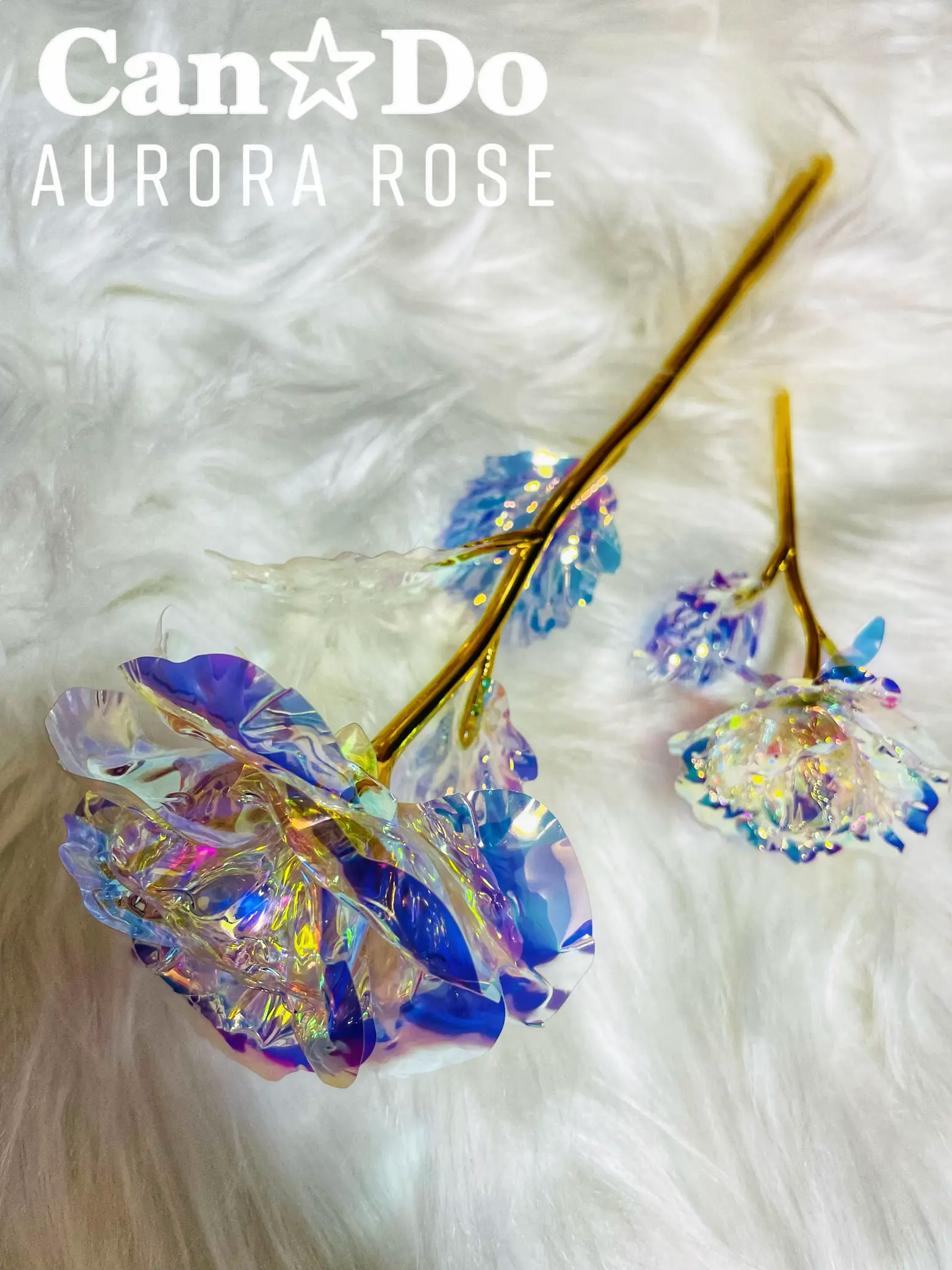 Can☆Doから虹色のAurora Rose登場✨ | coco.salon.0325が投稿した 