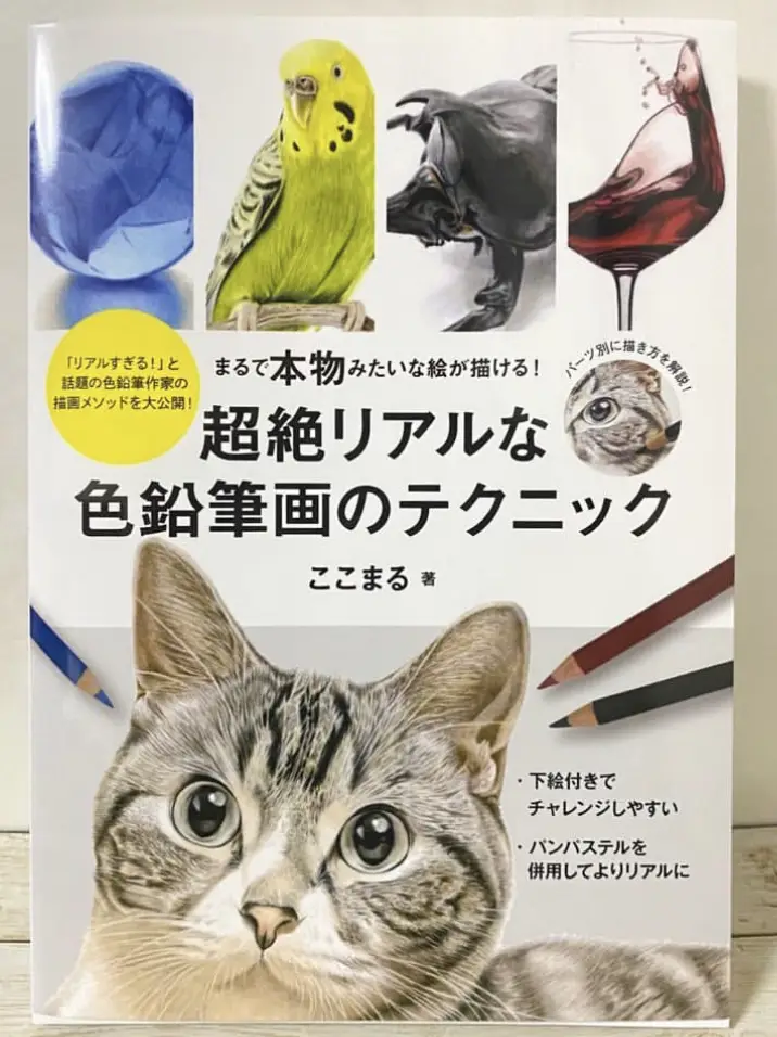 即納&大特価】 色鉛筆画A4 黒猫.37 絵画/タペストリ - okunomatsu.co.jp