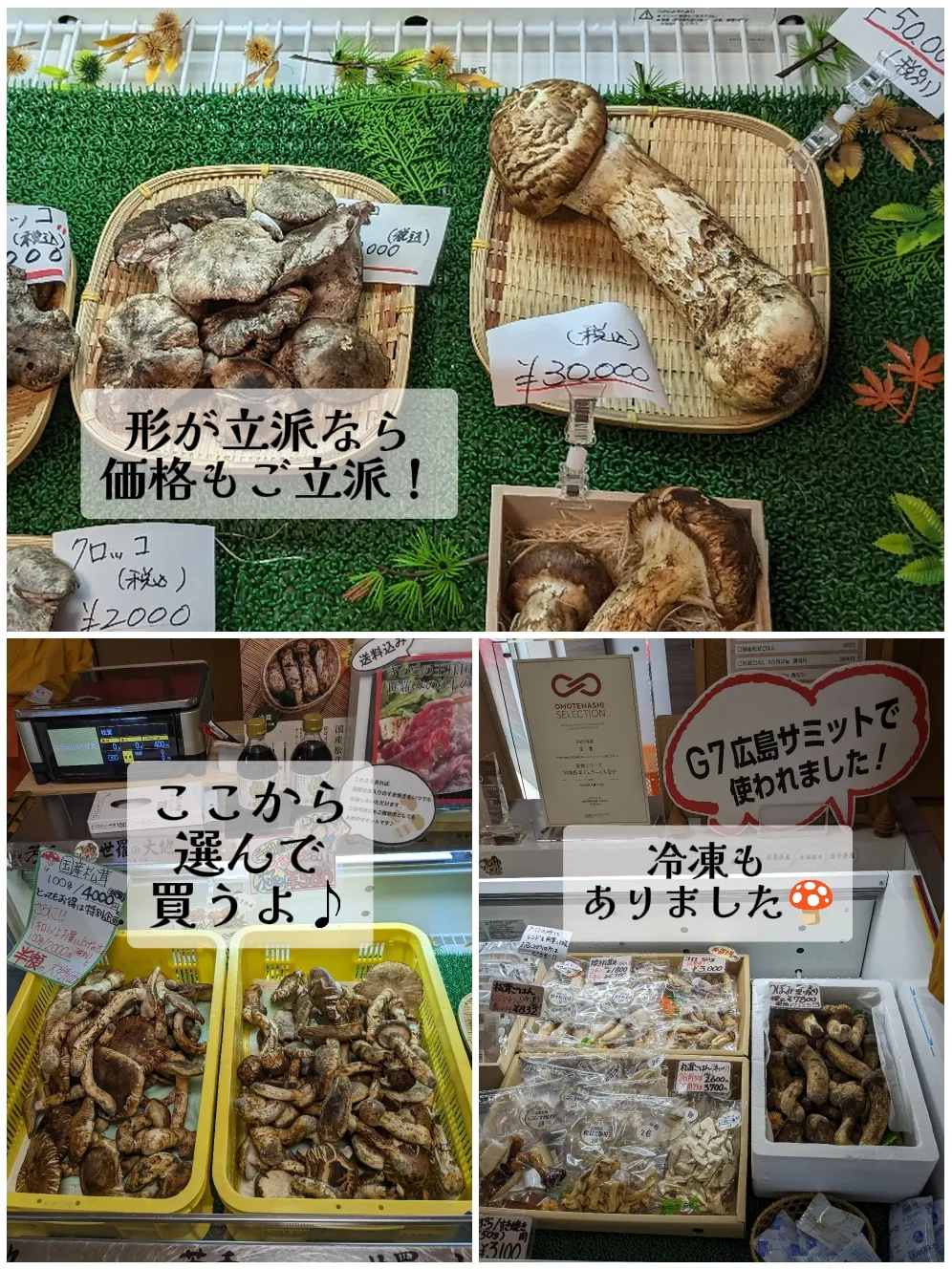 山形県産 新鮮松茸 250g 19日採取 - 野菜、果物