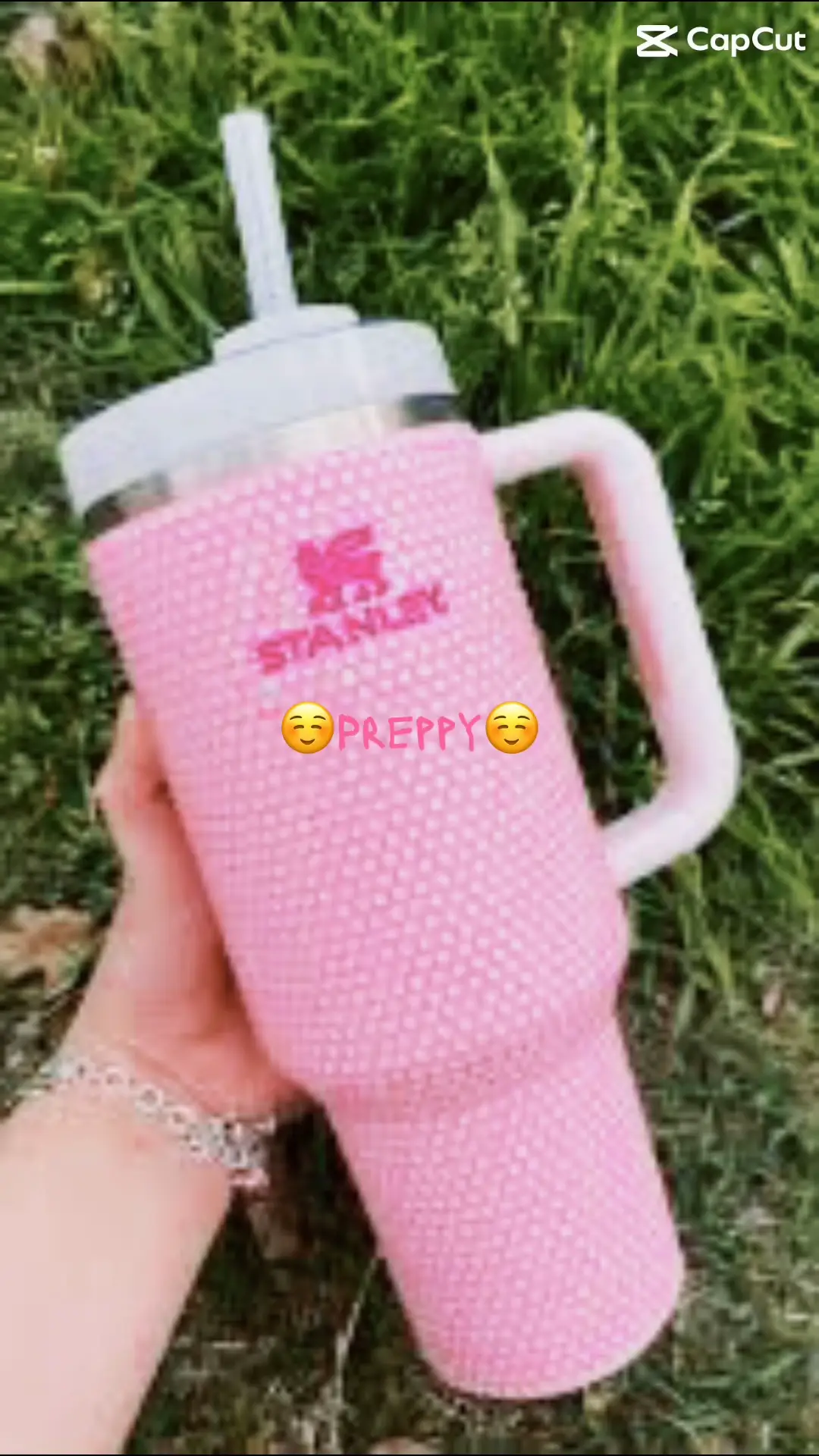  Preppy Stuff Phone Pouch For Stanley Tumblers Quencher