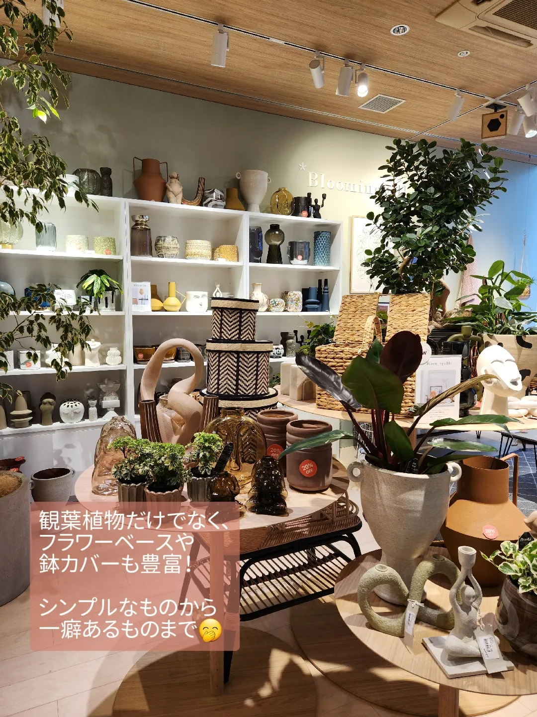 CONRAN コンランショップ フランス製植木鉢 大型鉢 - インテリア小物