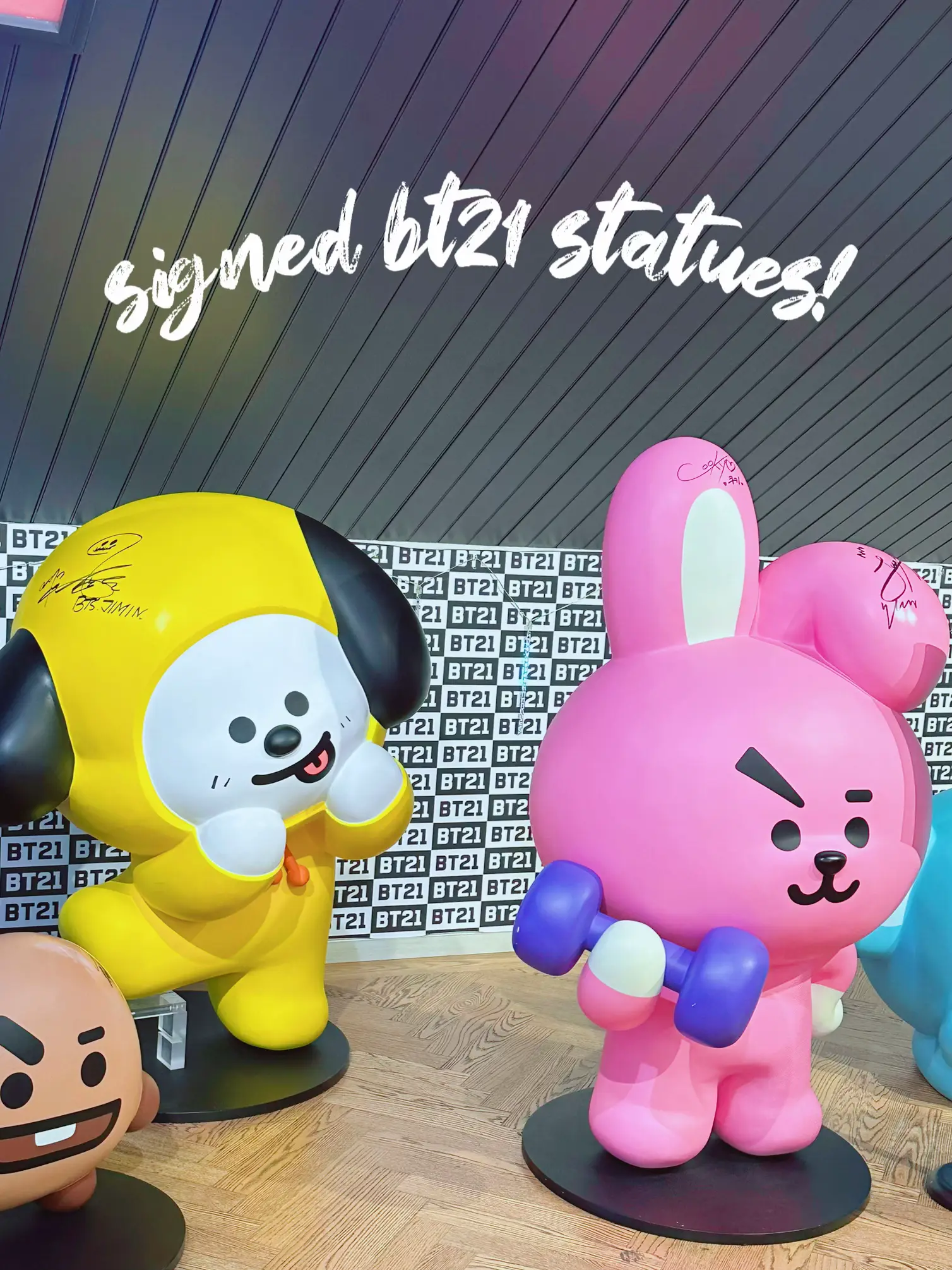 20 top Where to Buy Bt21 Merchandise in Nyc ideas in 2024