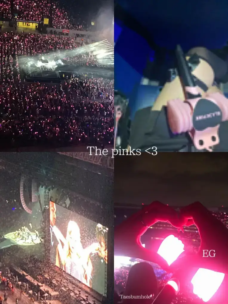 Blackpink Light Stick🖤💗 . . #blackpink #blink #blackpinkconcert