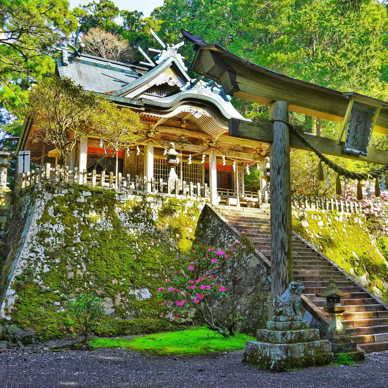 聖地「玉置神社」 | 里創人 熊野倶楽部が投稿したフォトブック | Lemon8