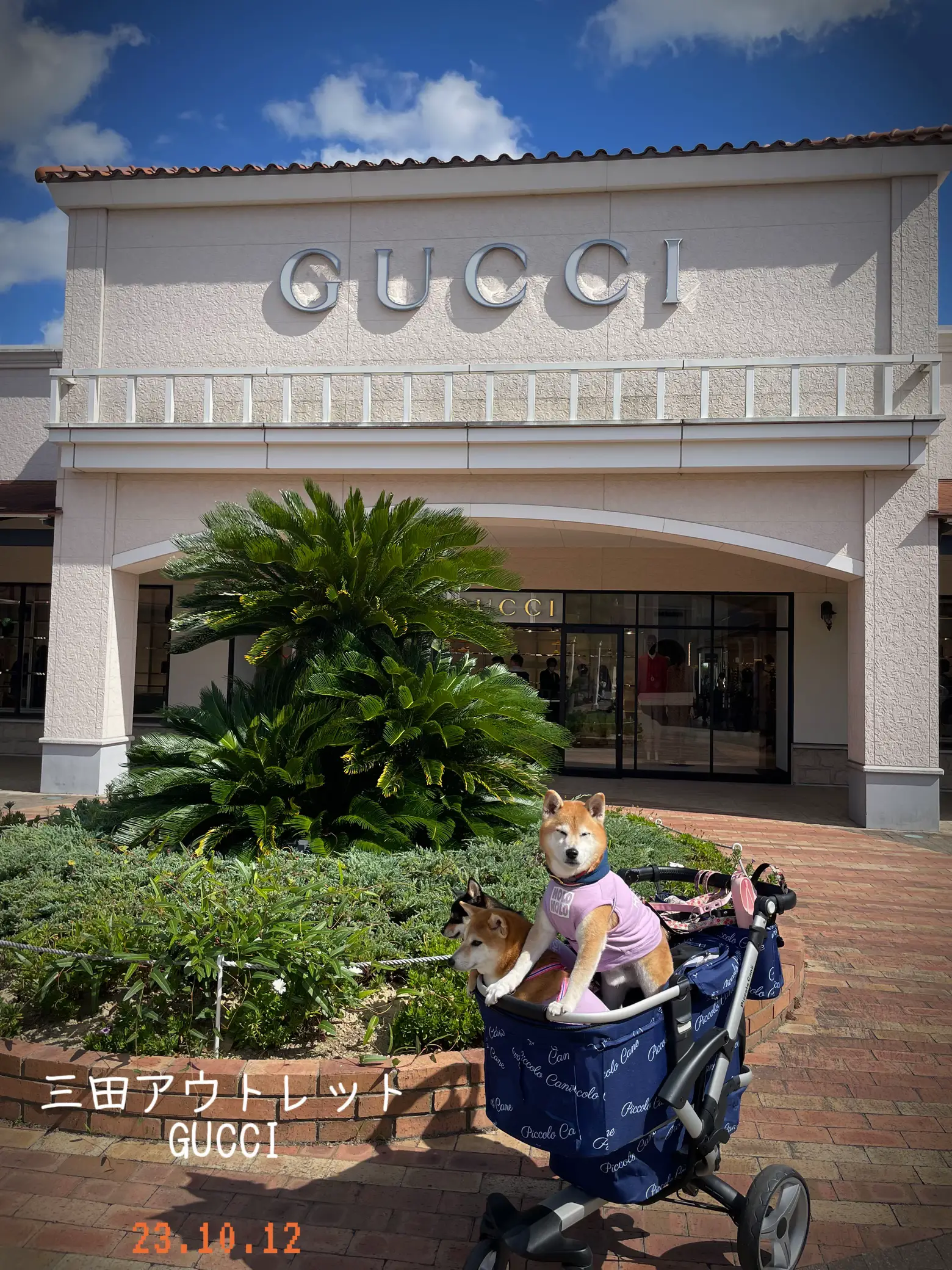 GUCCI OUTLET - Quanto custa uma Gucci no Outlet em Orlando 