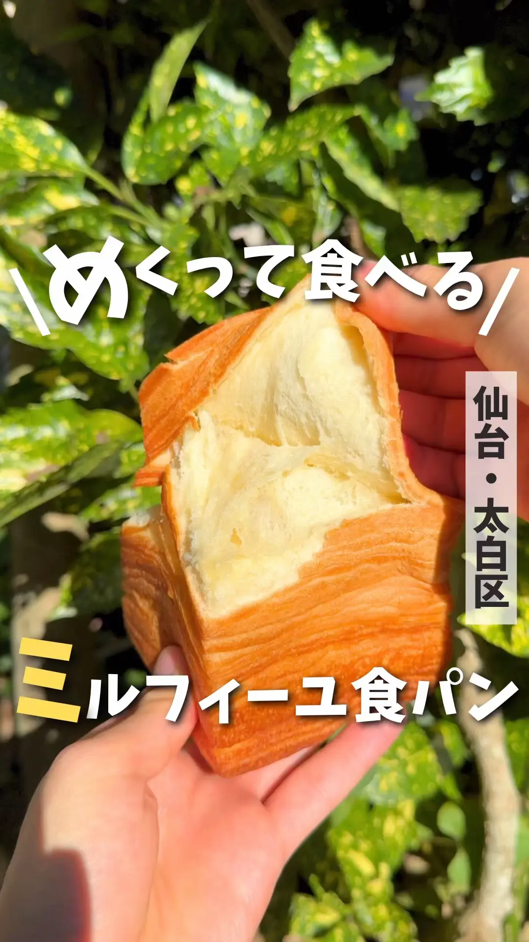 仙台パン屋】めくって食べる！話題のミルフィーユ食パン🍞 | あおい | 仙台宮城グルメの投稿動画 | Lemon8