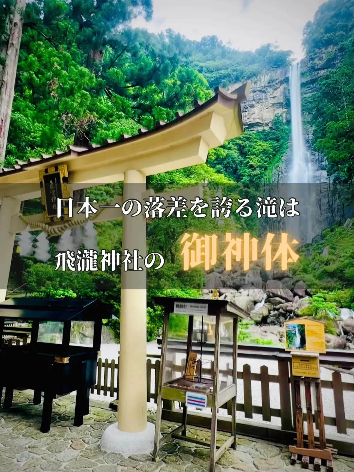 飛瀧神社の御神体は日本一の落差を誇るあの滝✨凛とした空気感と大迫力の名瀑を