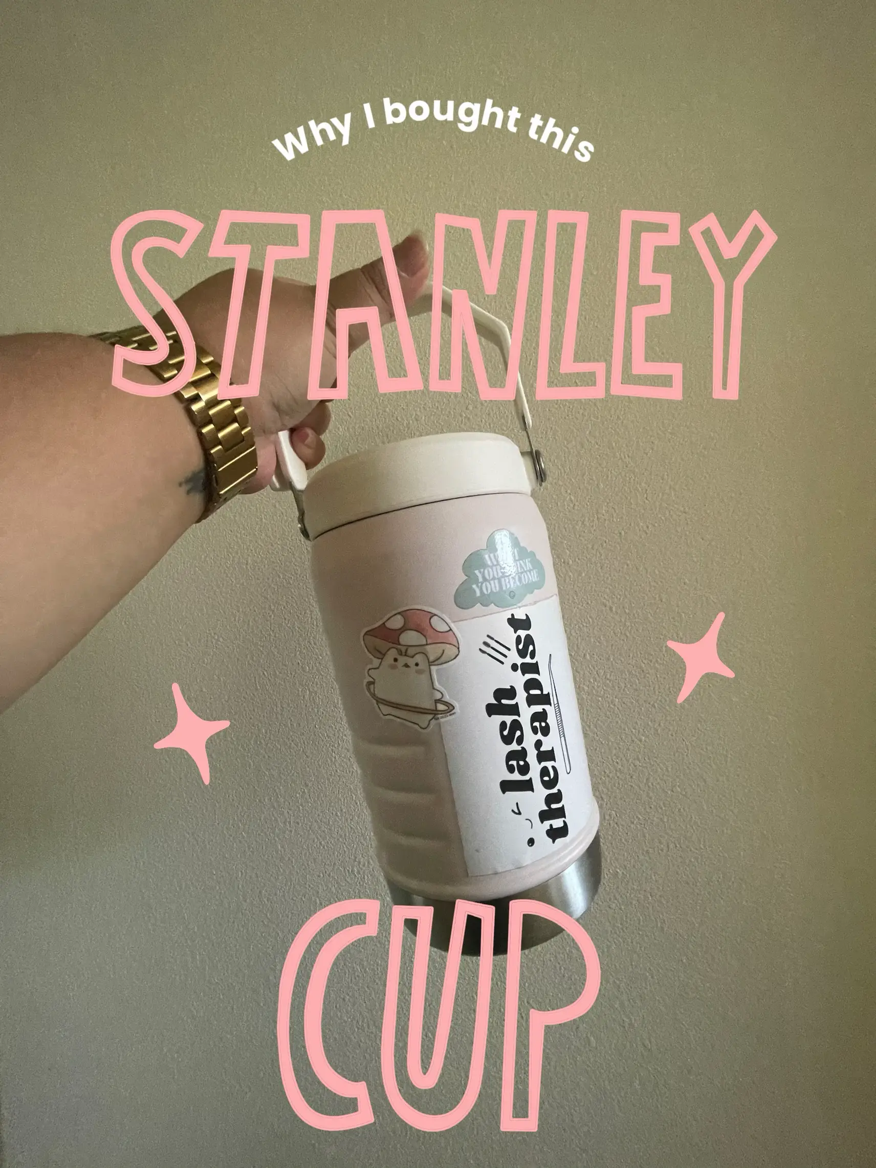 Got this mini stanley cup from @target for $30. I love it and the