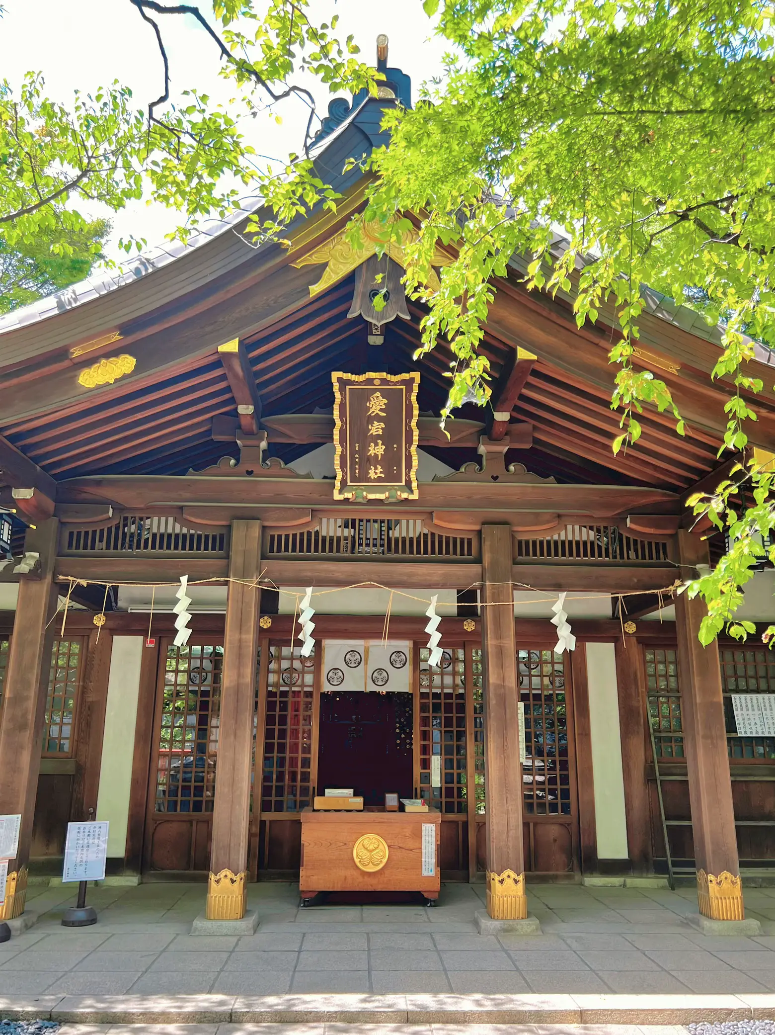 御朱印めぐり全国版、運命が変わるすごい神社、神社と神様、京都お守り&数珠