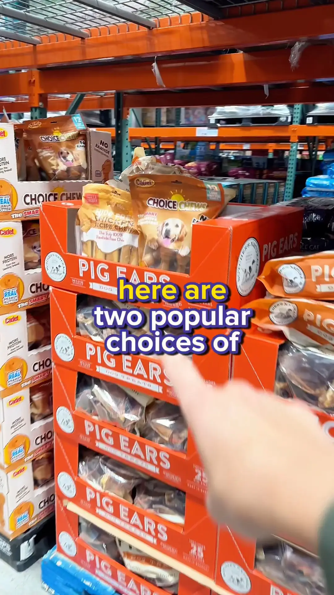 Why I would not feed Costco dog treats👀 Video published by Rachel