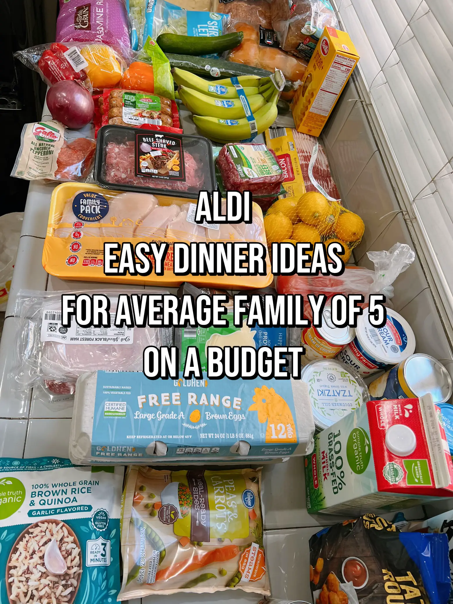 Aldi grocery haul for meal ideas - Lemon8 Search