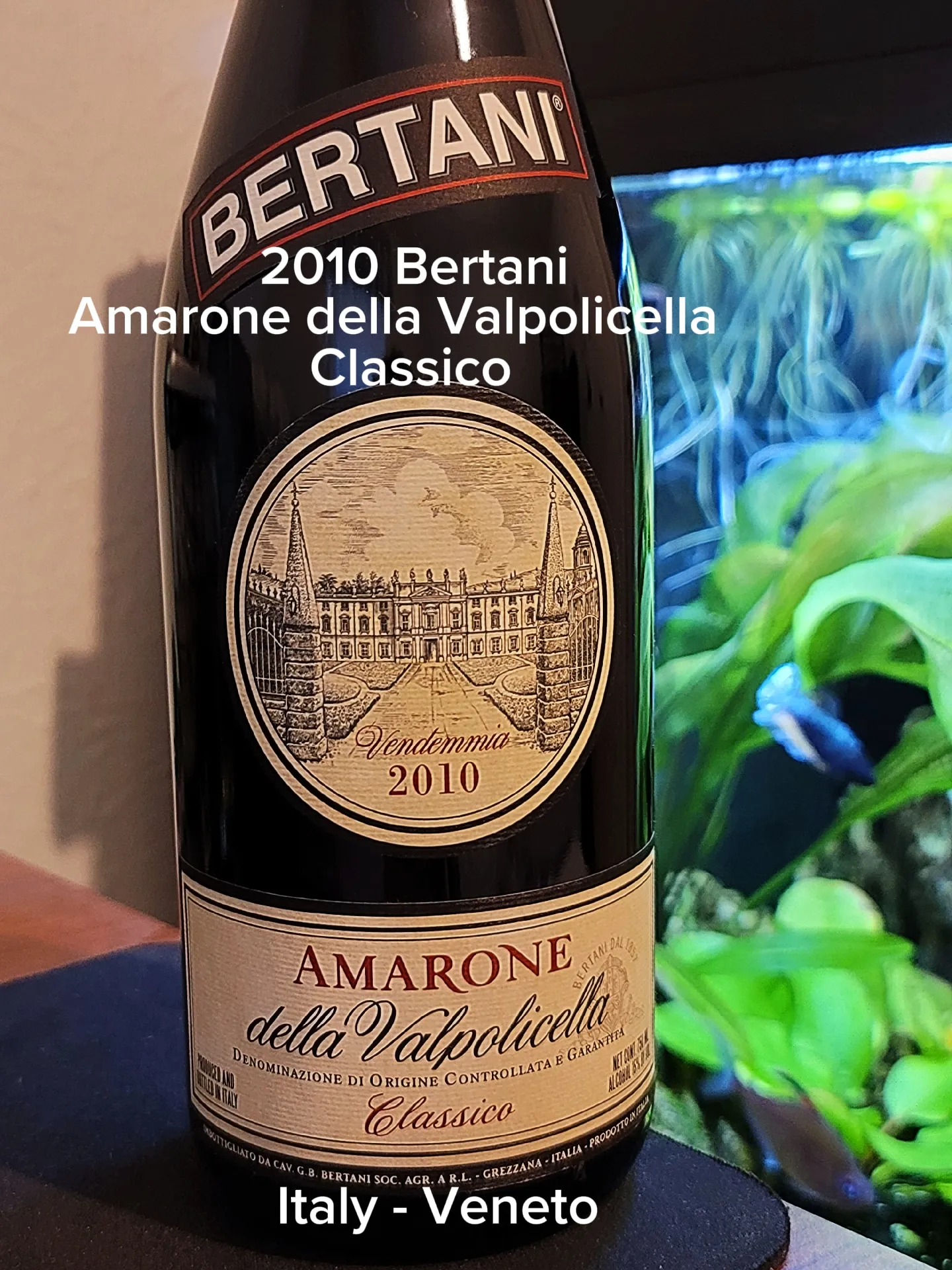 Borsari Amarone della Valpolicella 2020