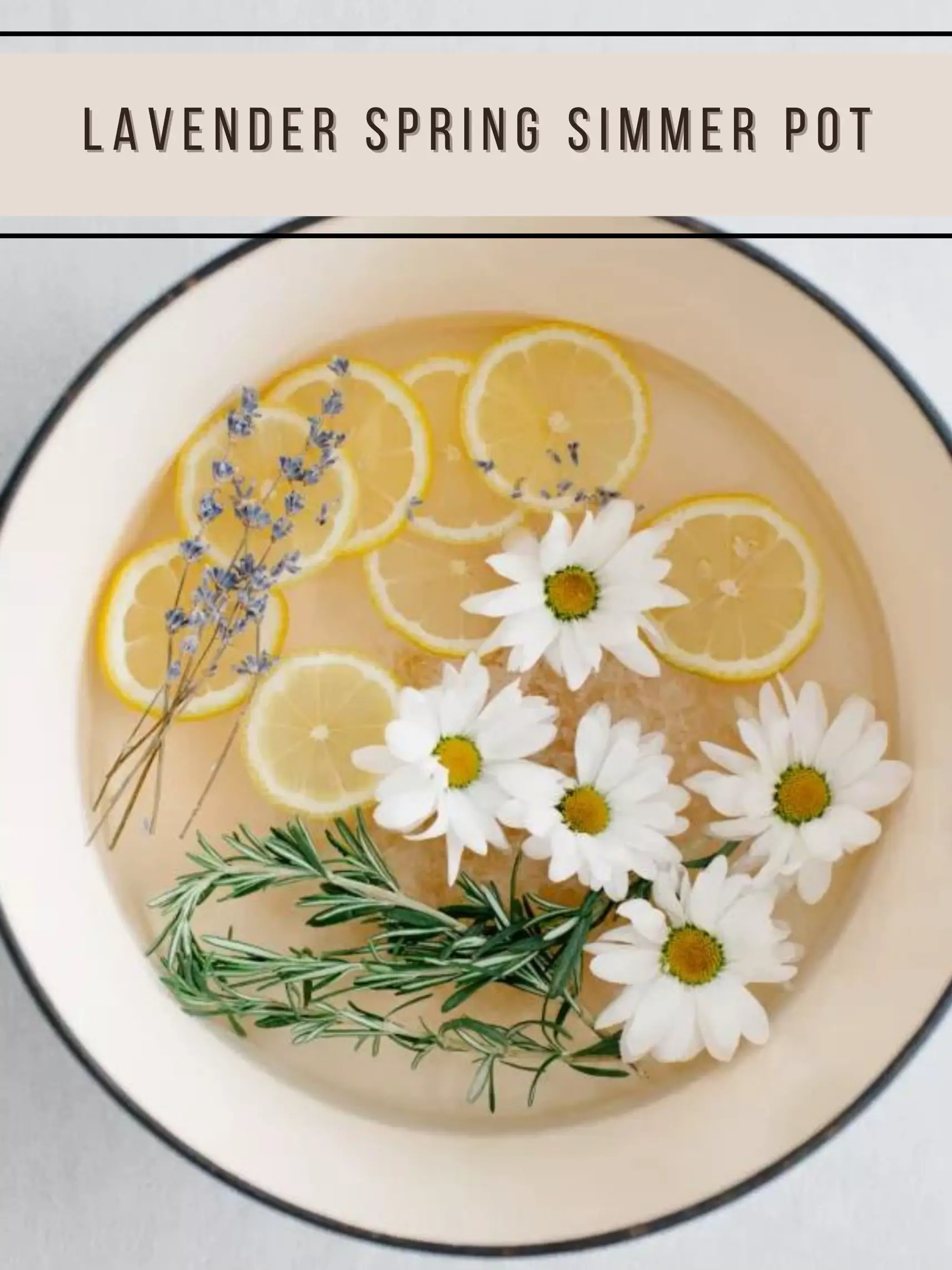 Lavender Spring Simmer Pot 🍋🌸's images