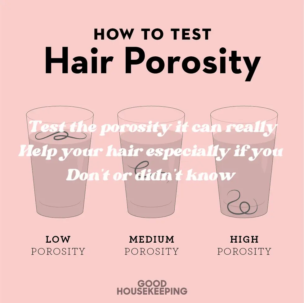 Hair Porosity: Learn How Your Hair Absorbs Moisture – EDEN BodyWorks