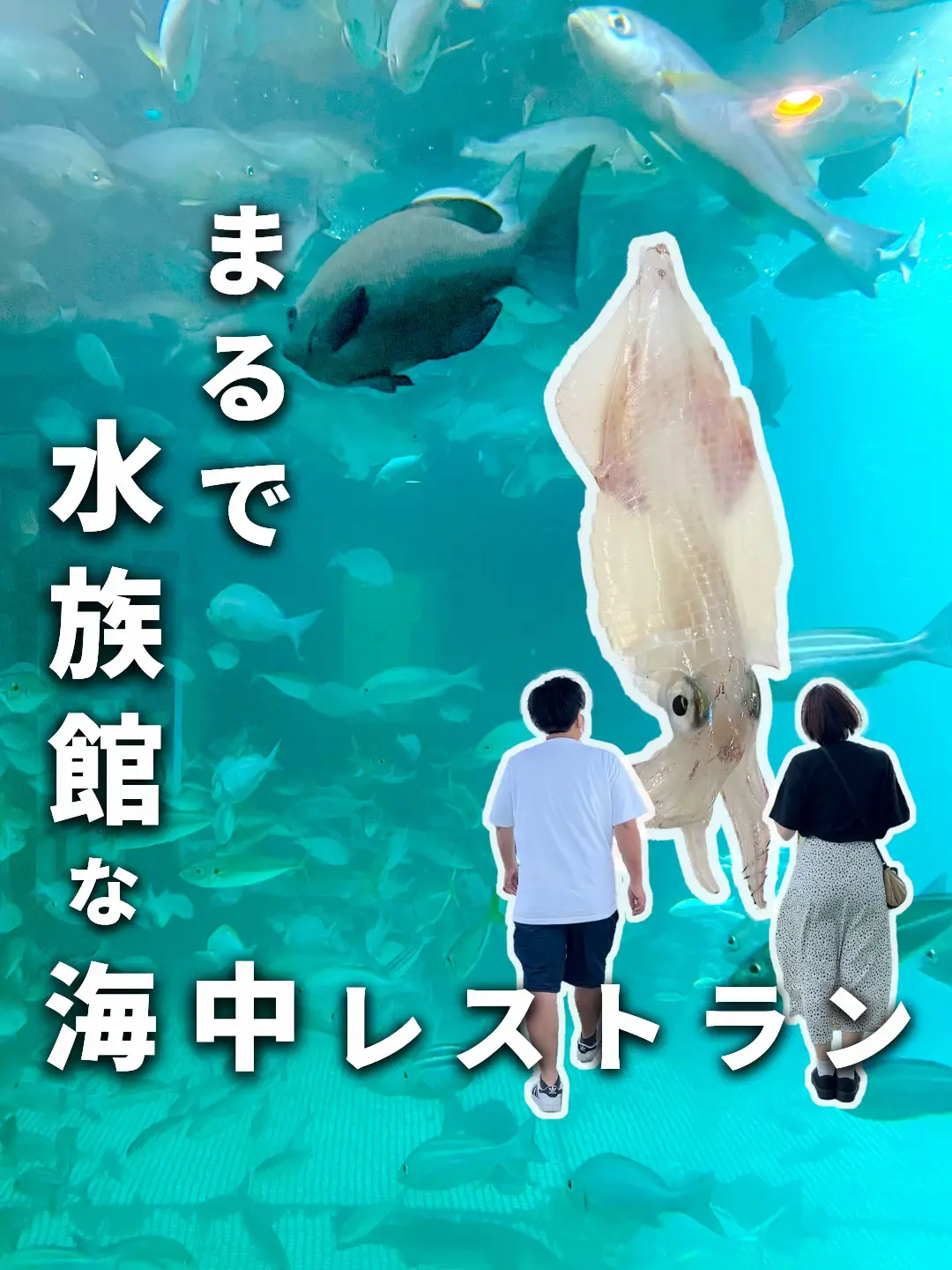 日本初！まるで水族館な海中レストラン行ってきた