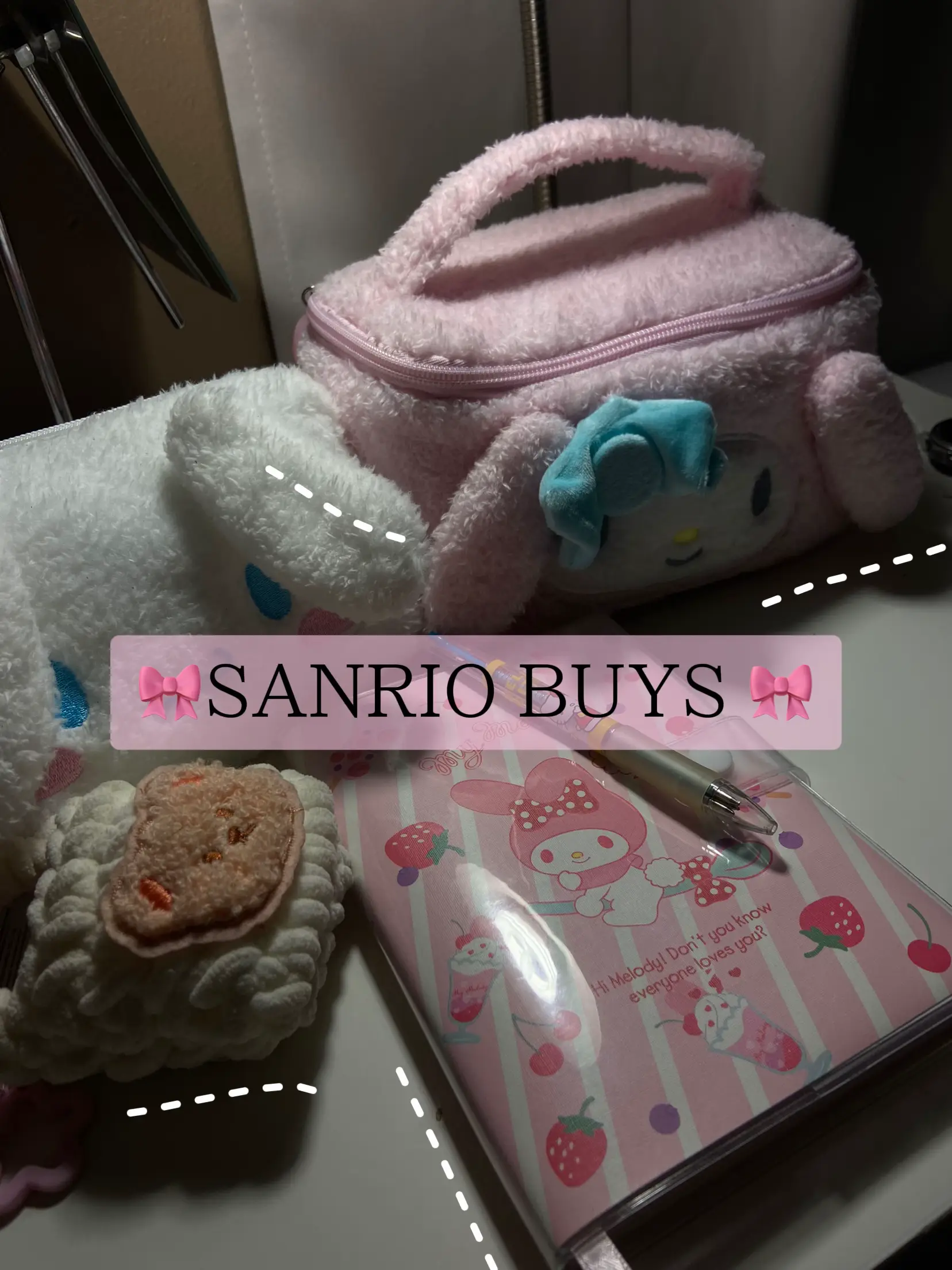 Went to my first Miniso / Sanrio store awhile ago and started