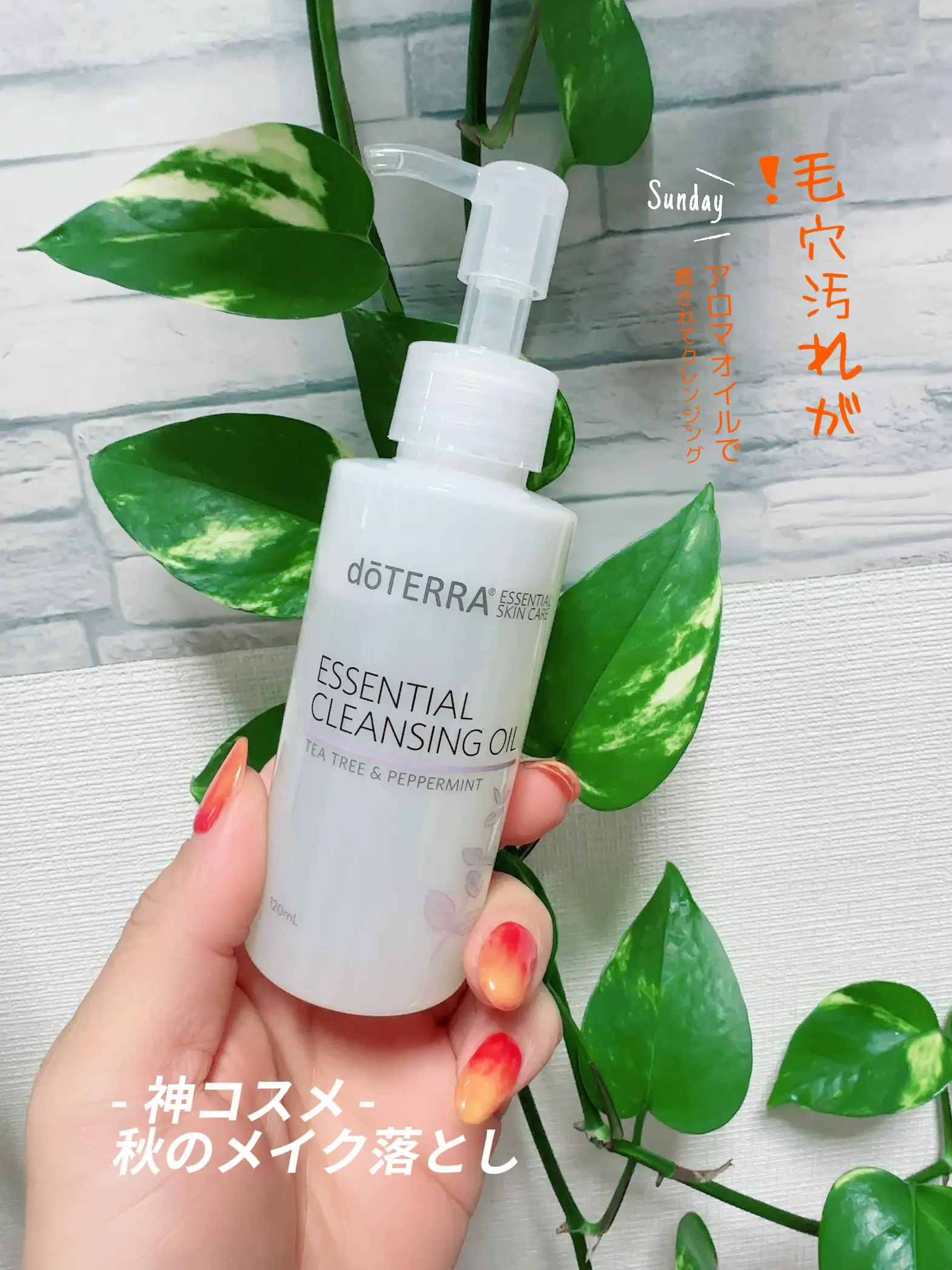 IKISE クレンジングオイル 化粧水・デイ・ナイトクリーム 6点セット