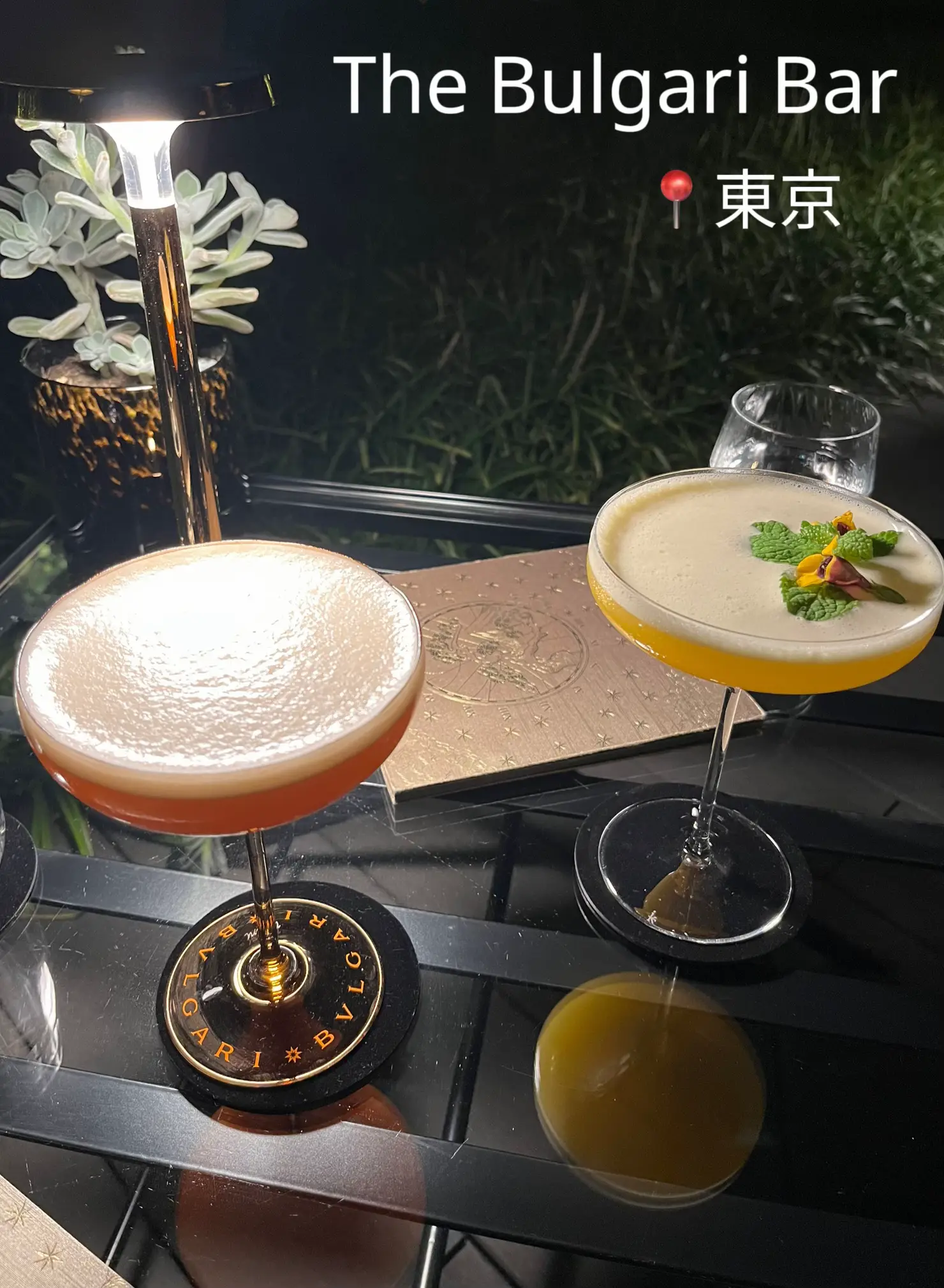 ブルガリホテル東京 オープニングセレモニー 角皿 （The Bulgari Bar 