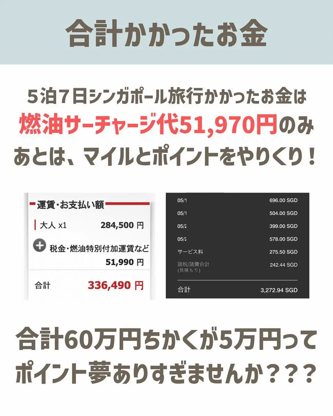 那覇⇄シンガポール2024年2月1日.4日往復航空券大人2名分 - 飛行機