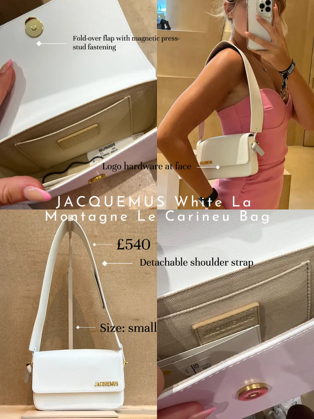 Louis Vuitton Mini Pochette Accessories VS Jacquemus Le Chiquito 
