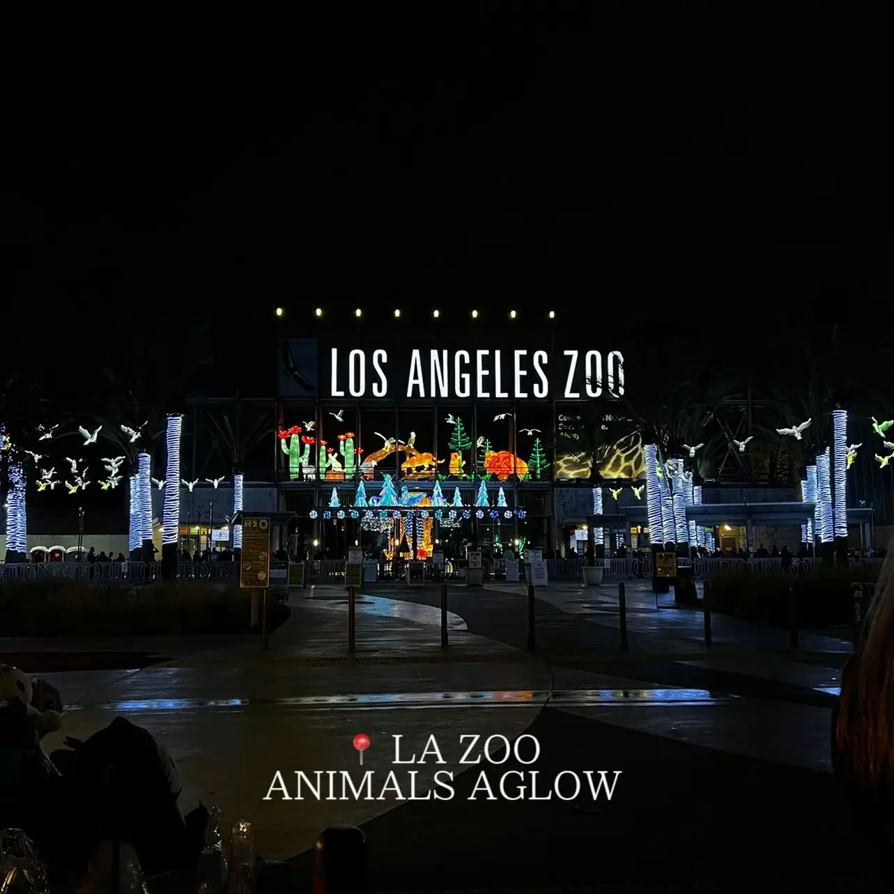 📍 LA ZOO ANIMALS AGLOW | Gallery posted by $usie 🎀 | Lemon8