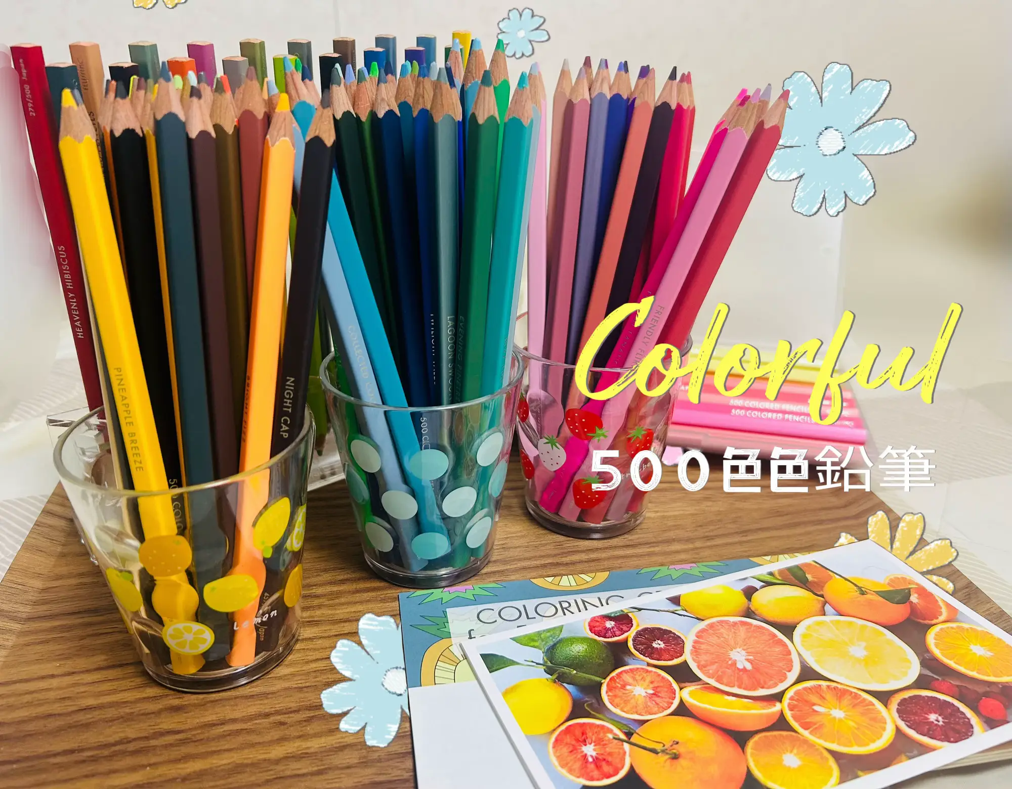 フェリシモ　500色　色鉛筆　ビビッドカラー フェリシモ 500色 色鉛筆 ビビッドカラー