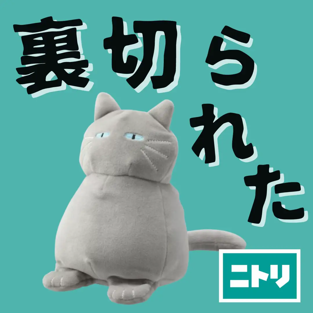 169 送料設置無料 ニトリ 新生活 洗濯機 6㌔ 安い （ニトリの猫