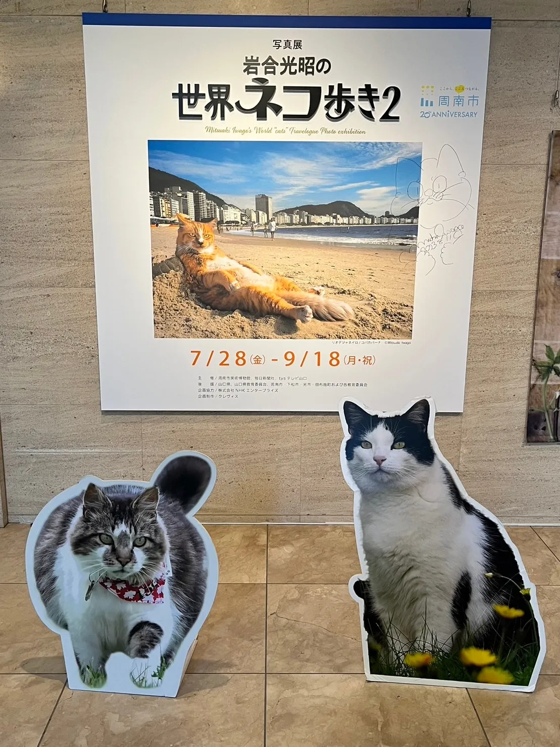 岩合光昭の世界ネコ歩き 2 写真展 フライヤー - 雑誌