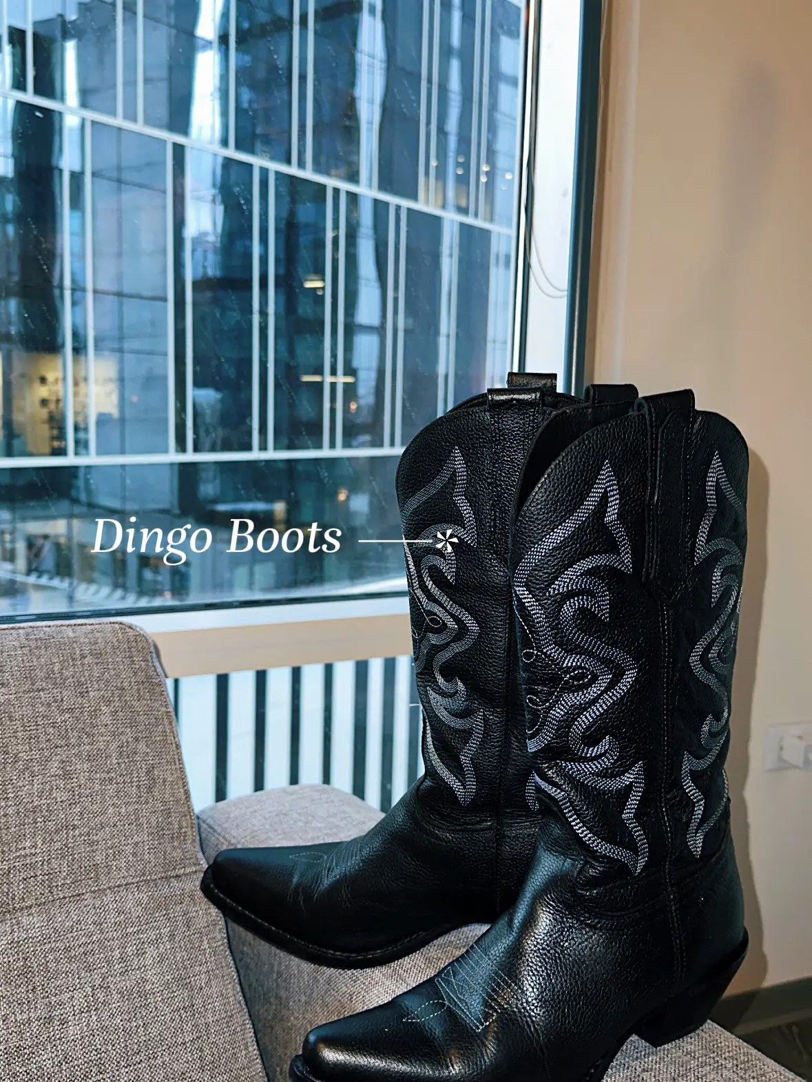 Kohls best sale dingo boots