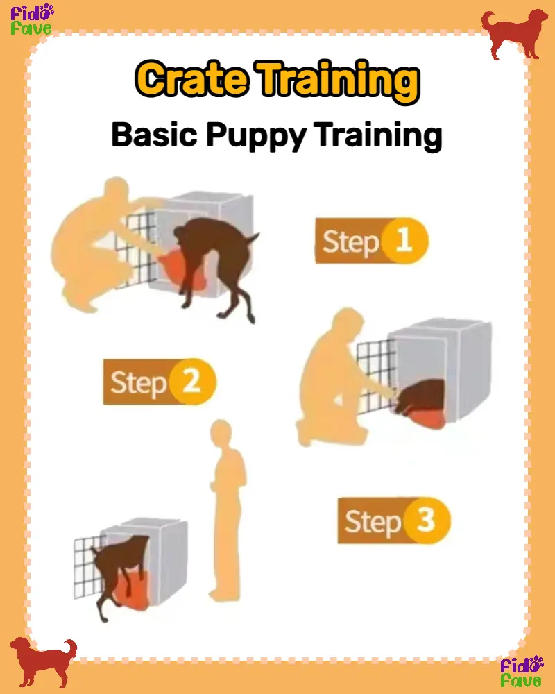 Crate best sale training steps