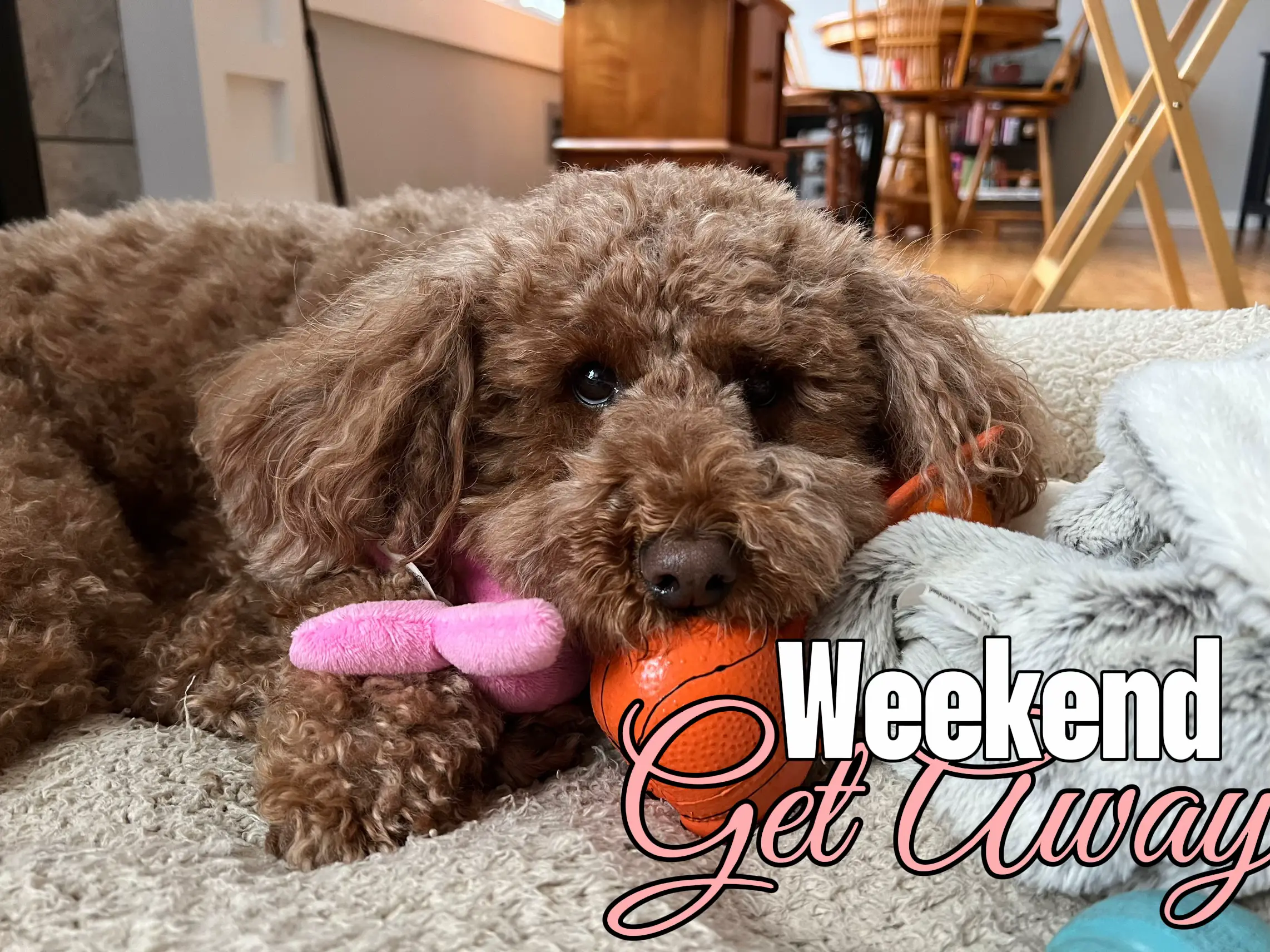 weekend-getaway-in-syracuse-ny-arianawilliams