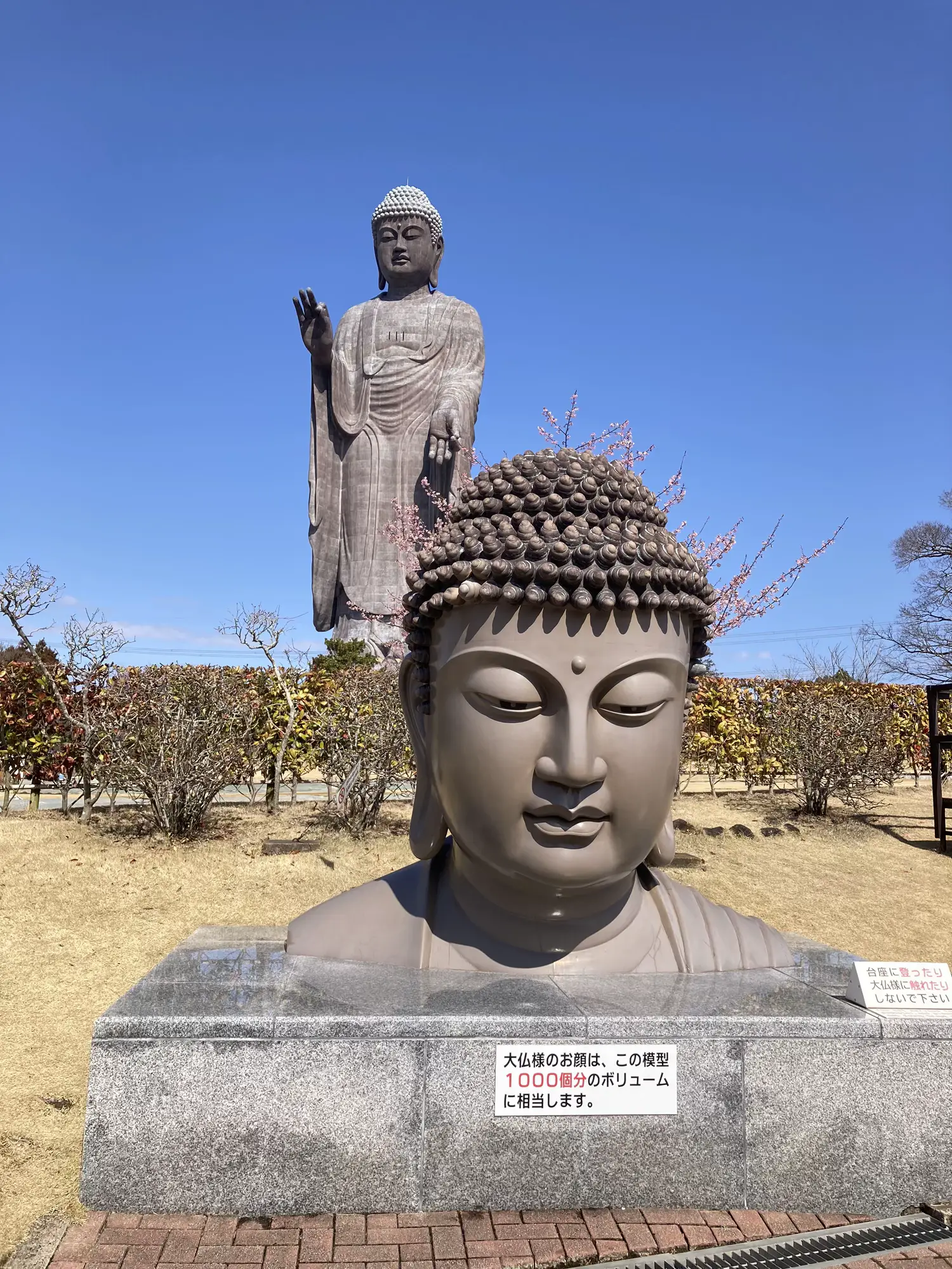 茨城にある、牛久大仏 顔の高さ20.0メートルと高い大仏様で | スミレが投稿したフォトブック | Lemon8