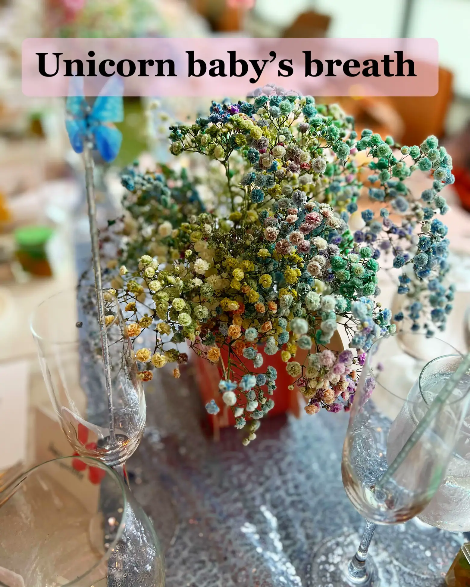 Unicorn Baby's Breath