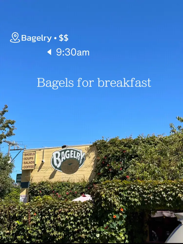 20 top Bagelry in Santa Cruz ideas in 2024