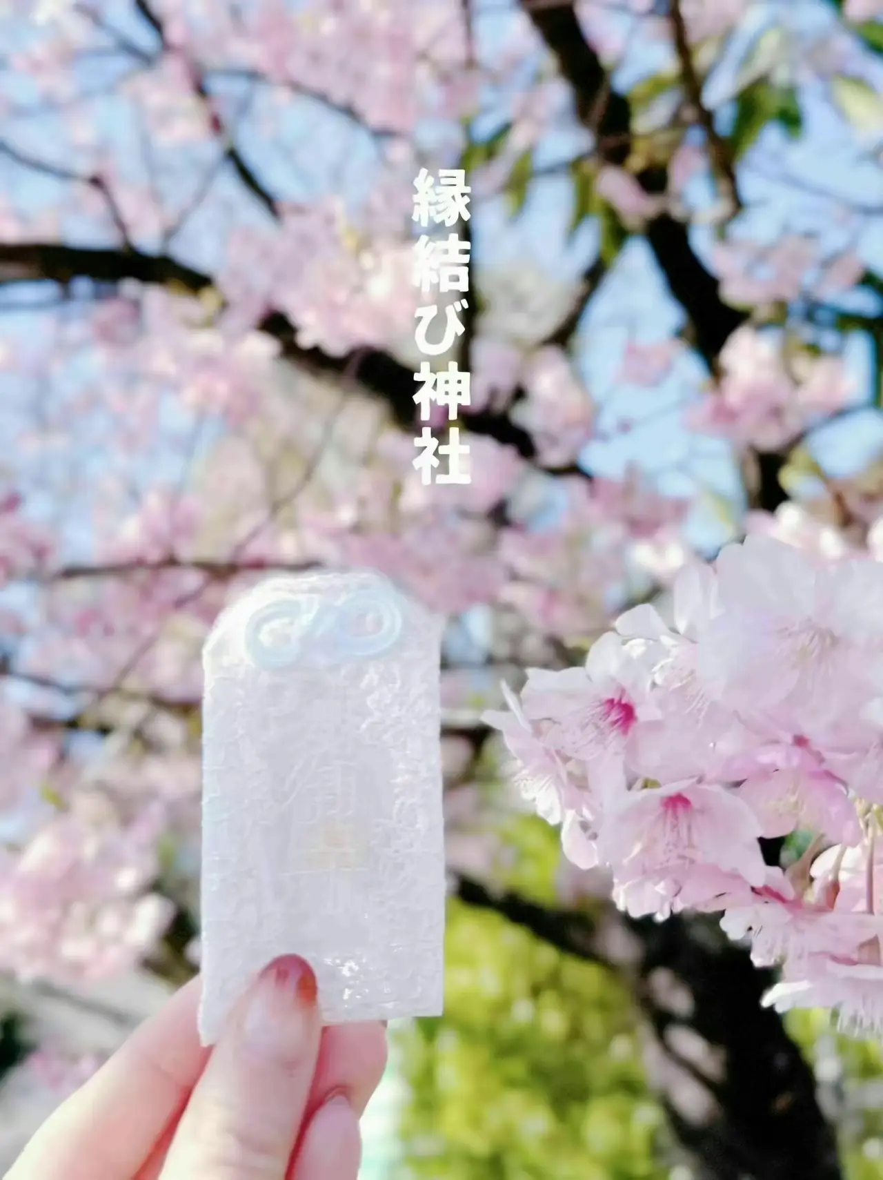 桜 お守り 神社 - Lemon8検索