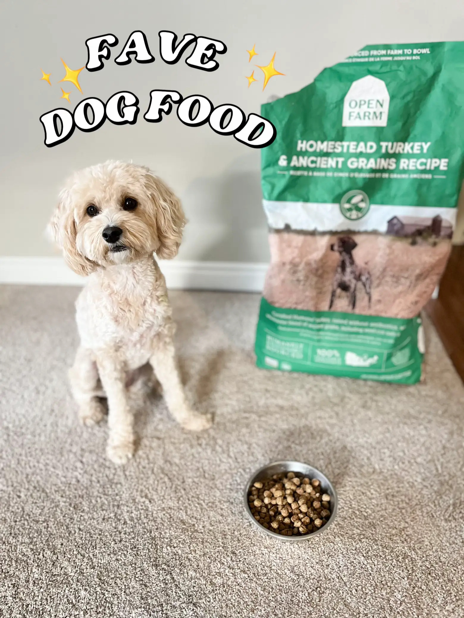 Open farm clearance dog food petsmart