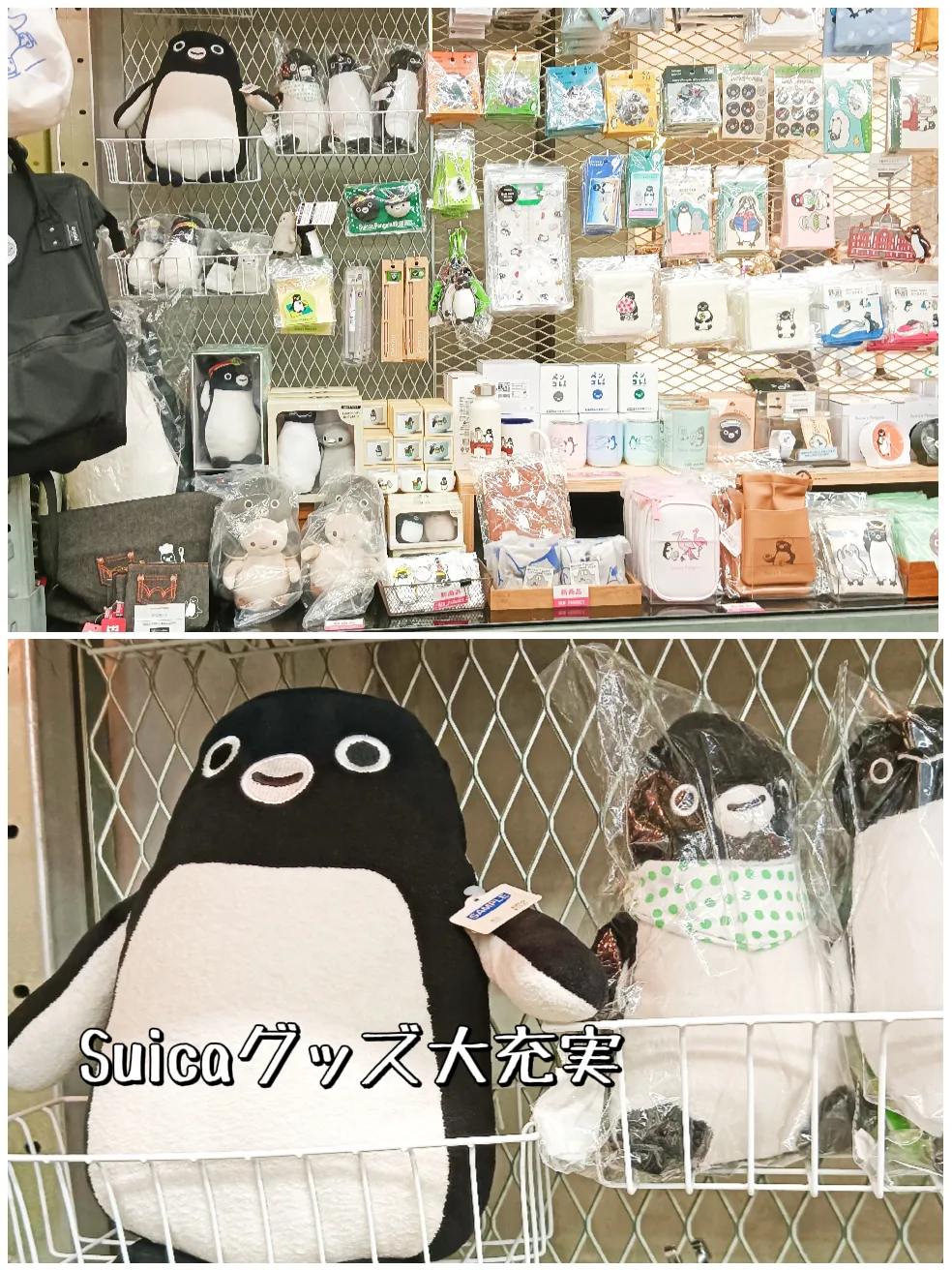 全国に2店舗🚃Suicaペンギングッズもたくさん🐧✨鉄ヲタじゃなくても超楽しい専門店 | 関東夫婦デート*kisaraが投稿したフォトブック |  Lemon8