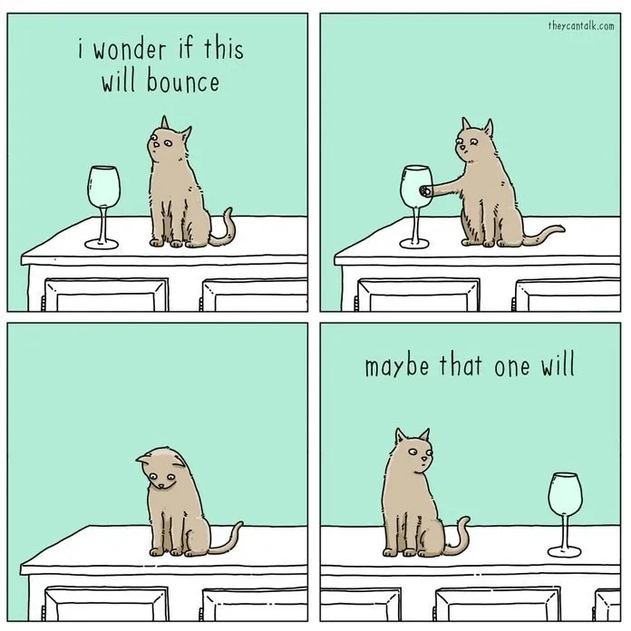 Follow me for more 🫶 #cats #funnycats #cat #catlover #catlovers #meme