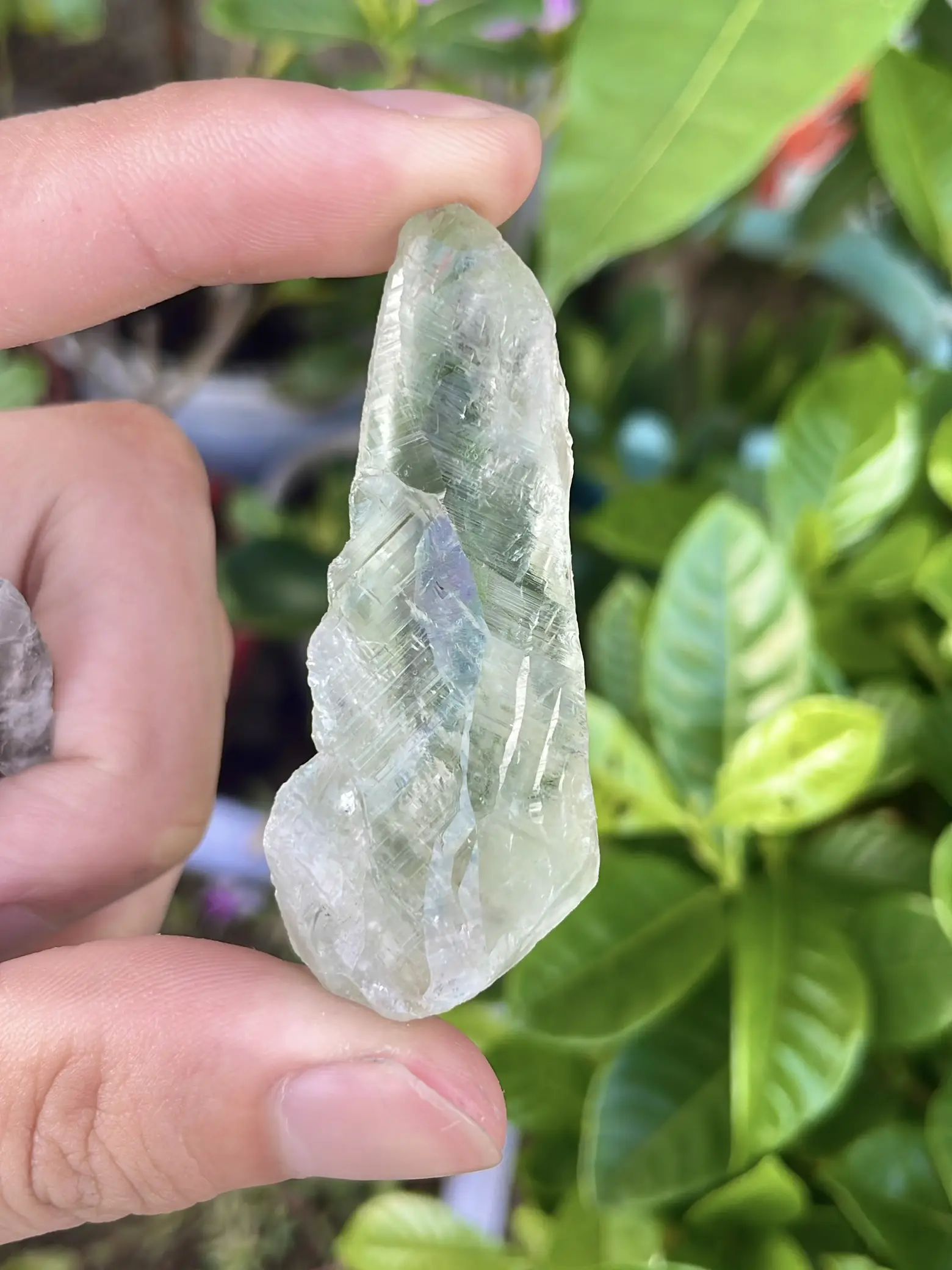 本翡翠、貨尾、お買い得氷藍緑混色囲碁型ブレスレット 楽天市場】グアテマラ産 翡翠 ヒスイ jade バングル 高品質