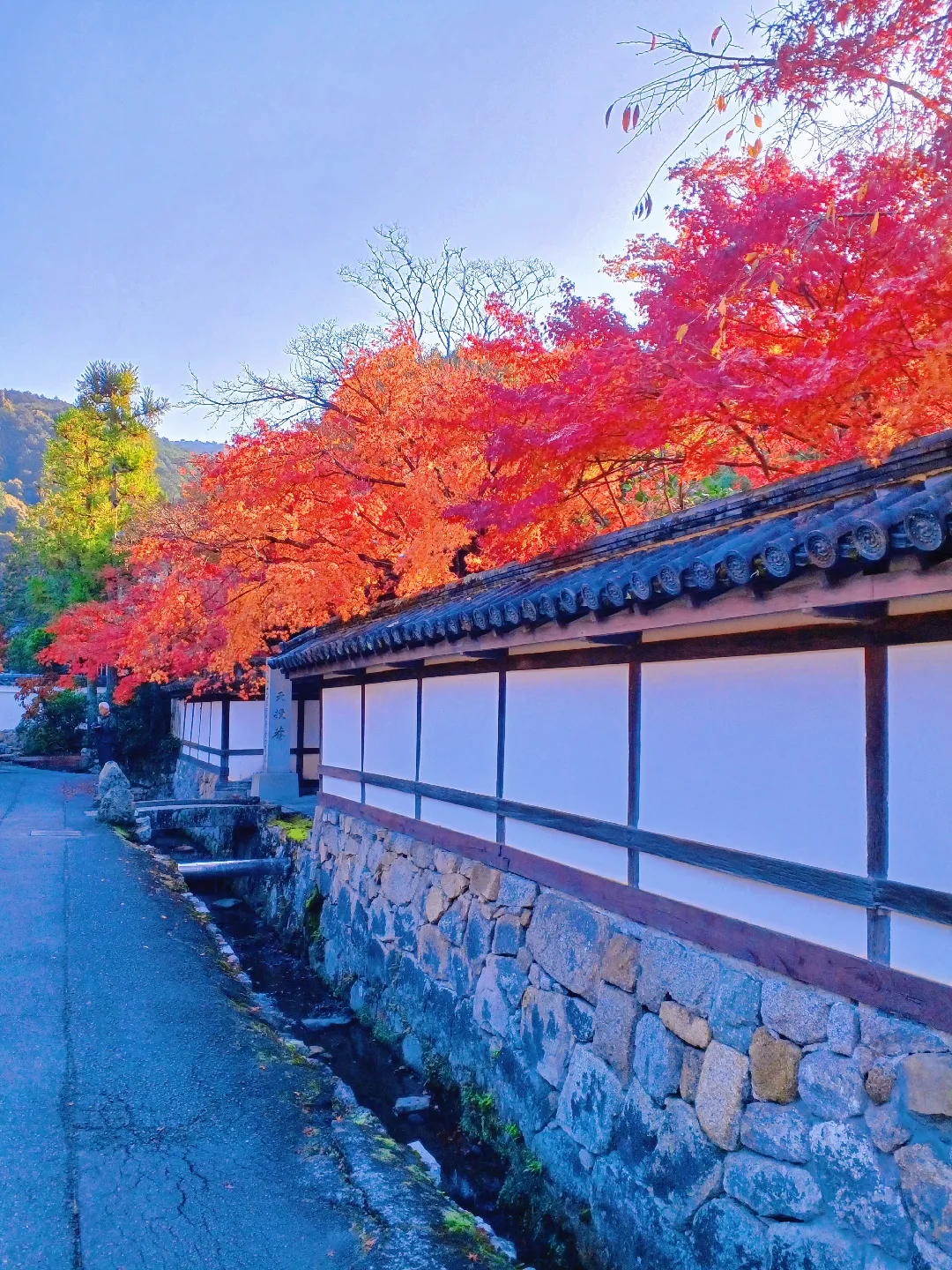 【京都ぶらり】2023京都紅葉 ベストシーズン南禅寺の紅葉の画像 (4枚目)