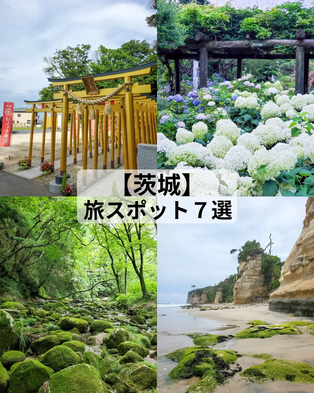 2024年の茨城県のアイデア19選