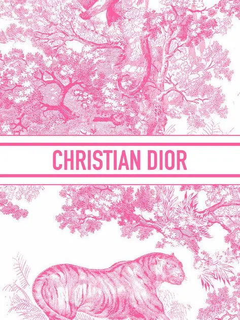 Dior Monogram wallpaper  Monogram wallpaper, Pink wallpaper girly, Iphone  wallpaper vintage