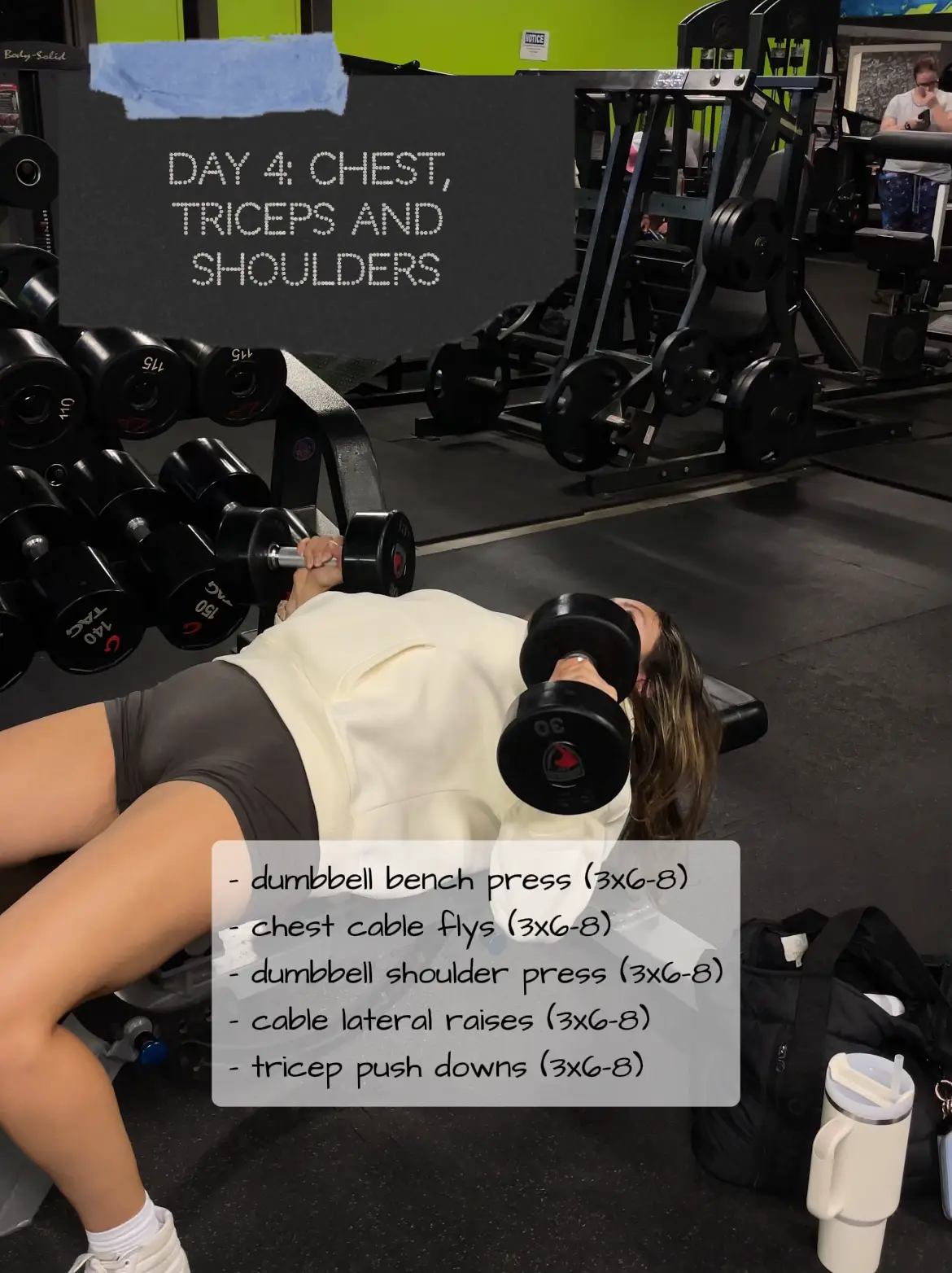 Free Workout: Shoulders, Bi, and Tri · WorkoutLabs Fit