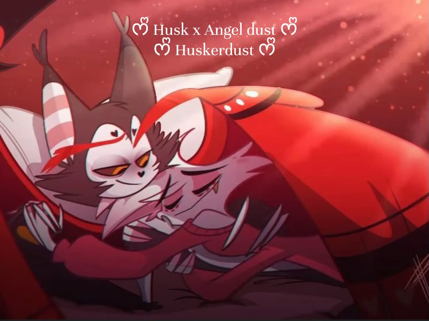 Husk and Angel - Lemon8 Search