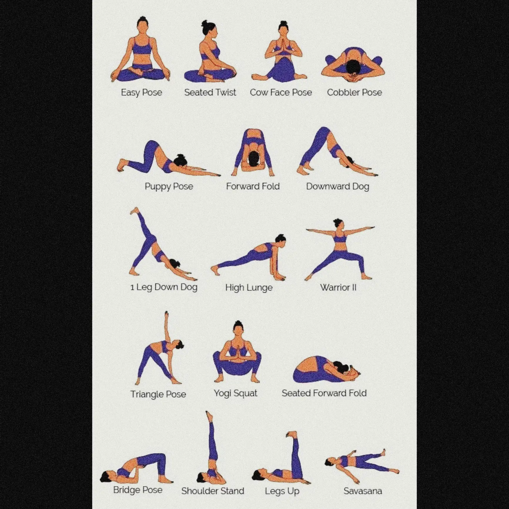 Effective For Beginner To Advanced Poses – YogaPaws