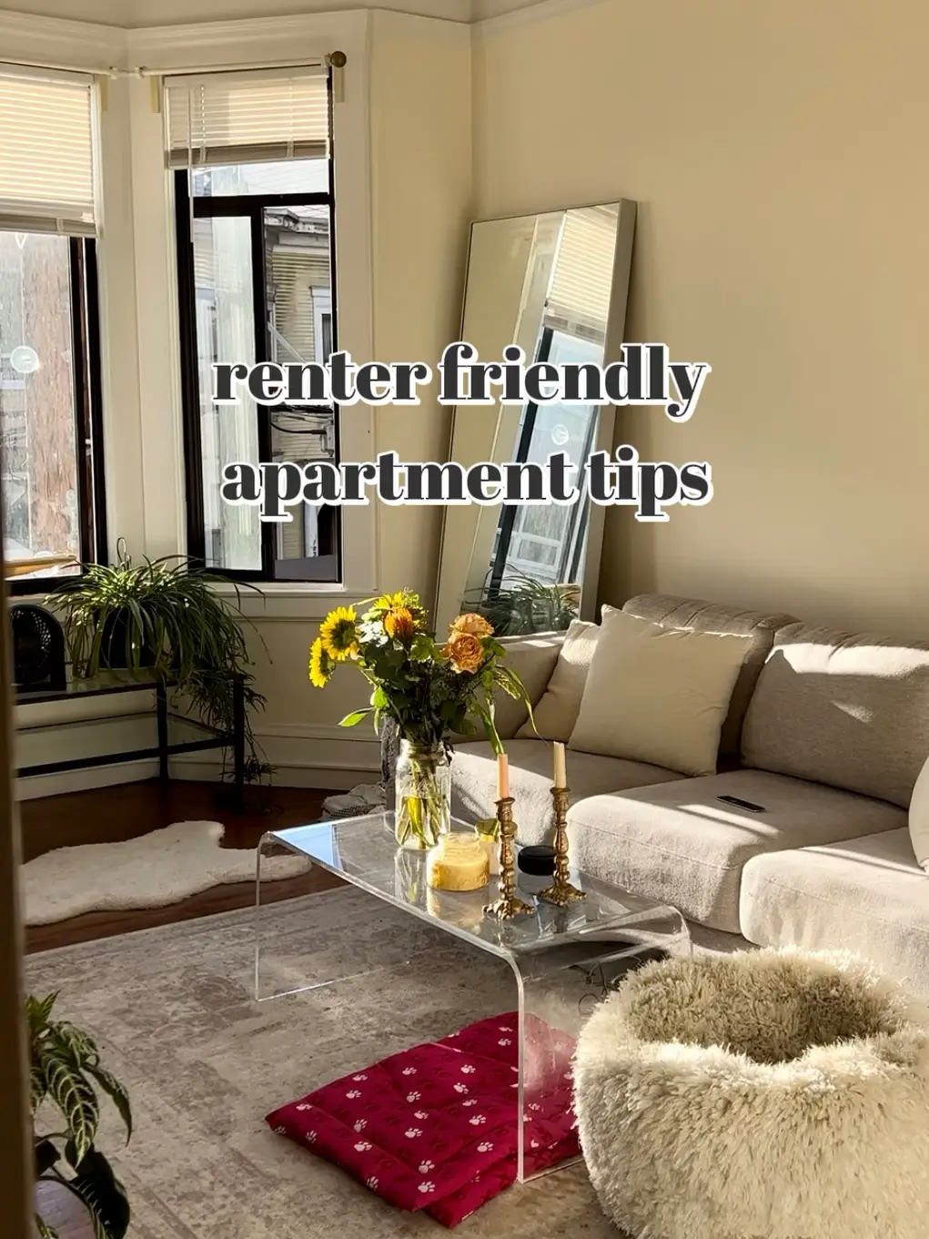 renter friendly apartment tips, Gallery posted by Sarahhchia