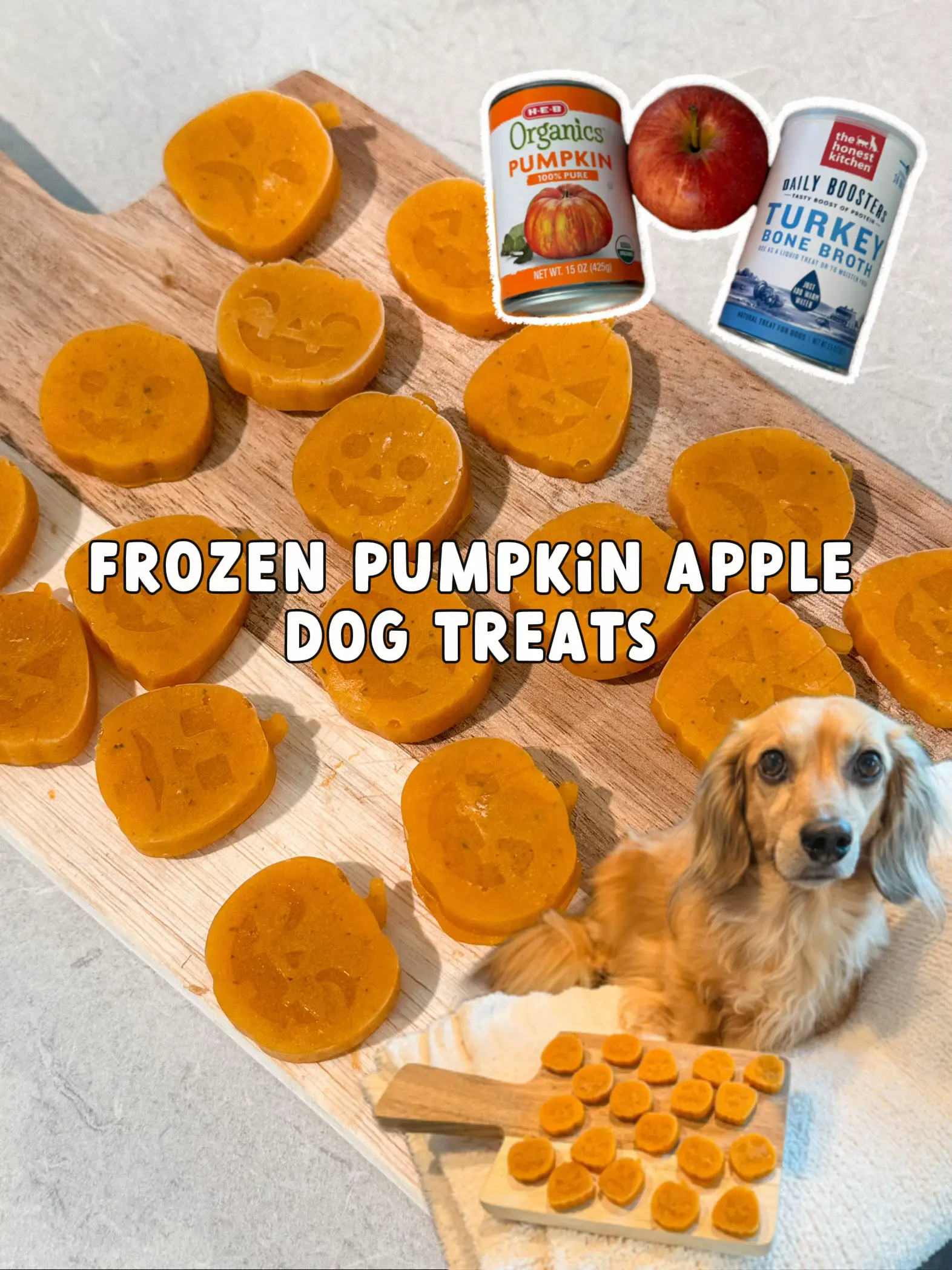 Fall Pumpkin Apple Dog Treats